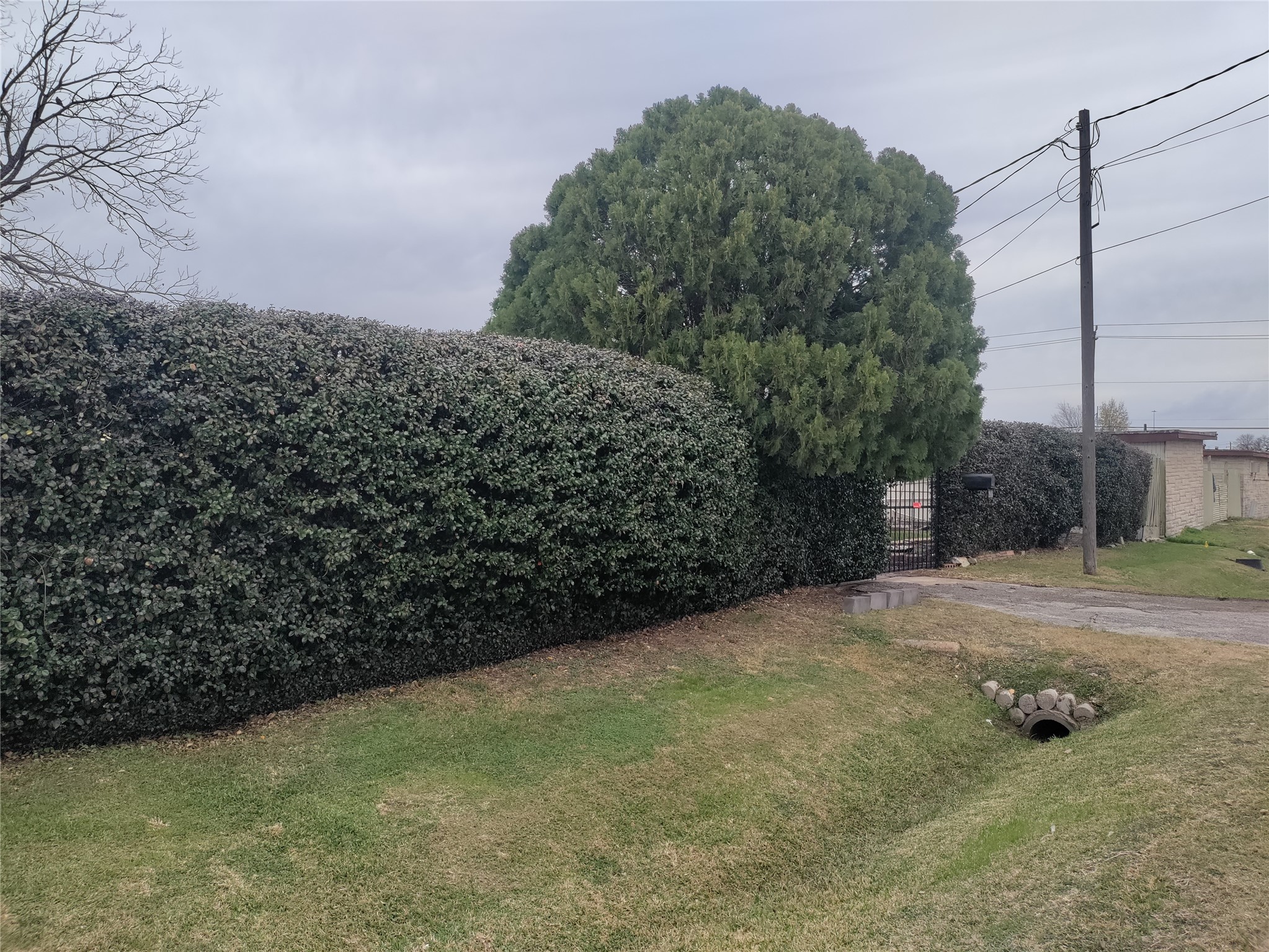2816 Black Street Property Photo 3