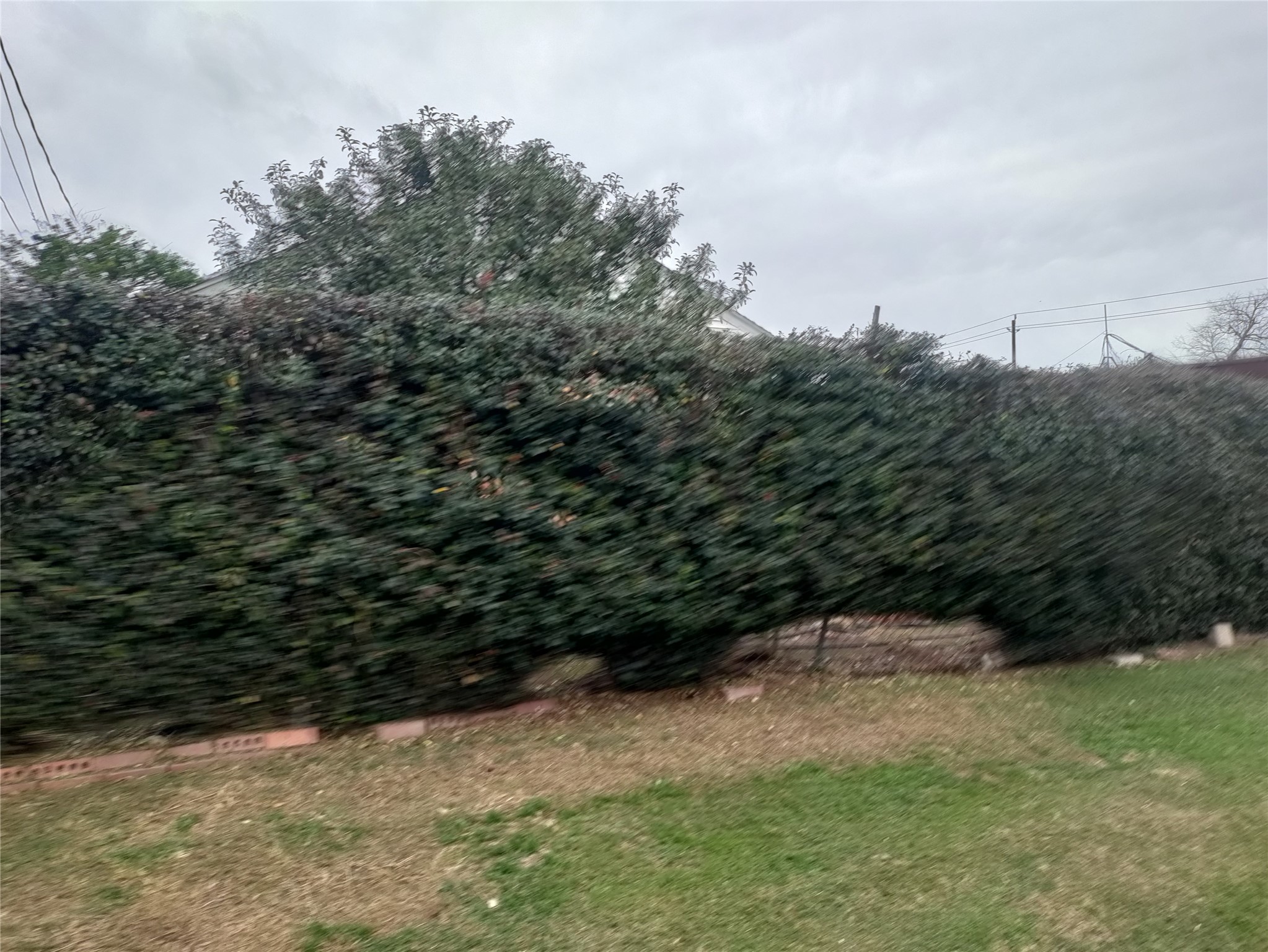2816 Black Street Property Photo 5