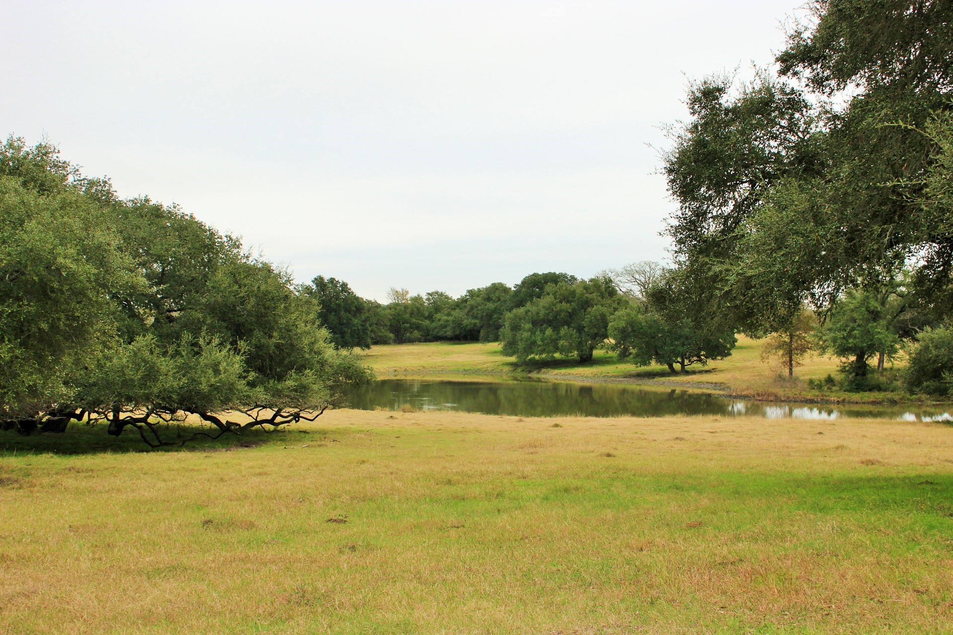 11850 Mccrocklin Property Photo 6