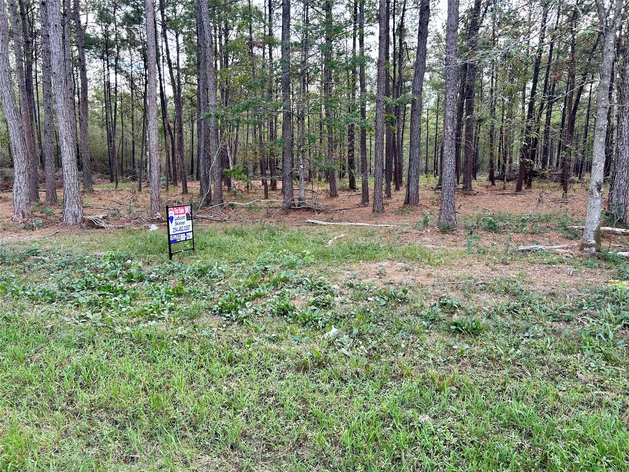 17089 Hwy 105 Highway Property Photo