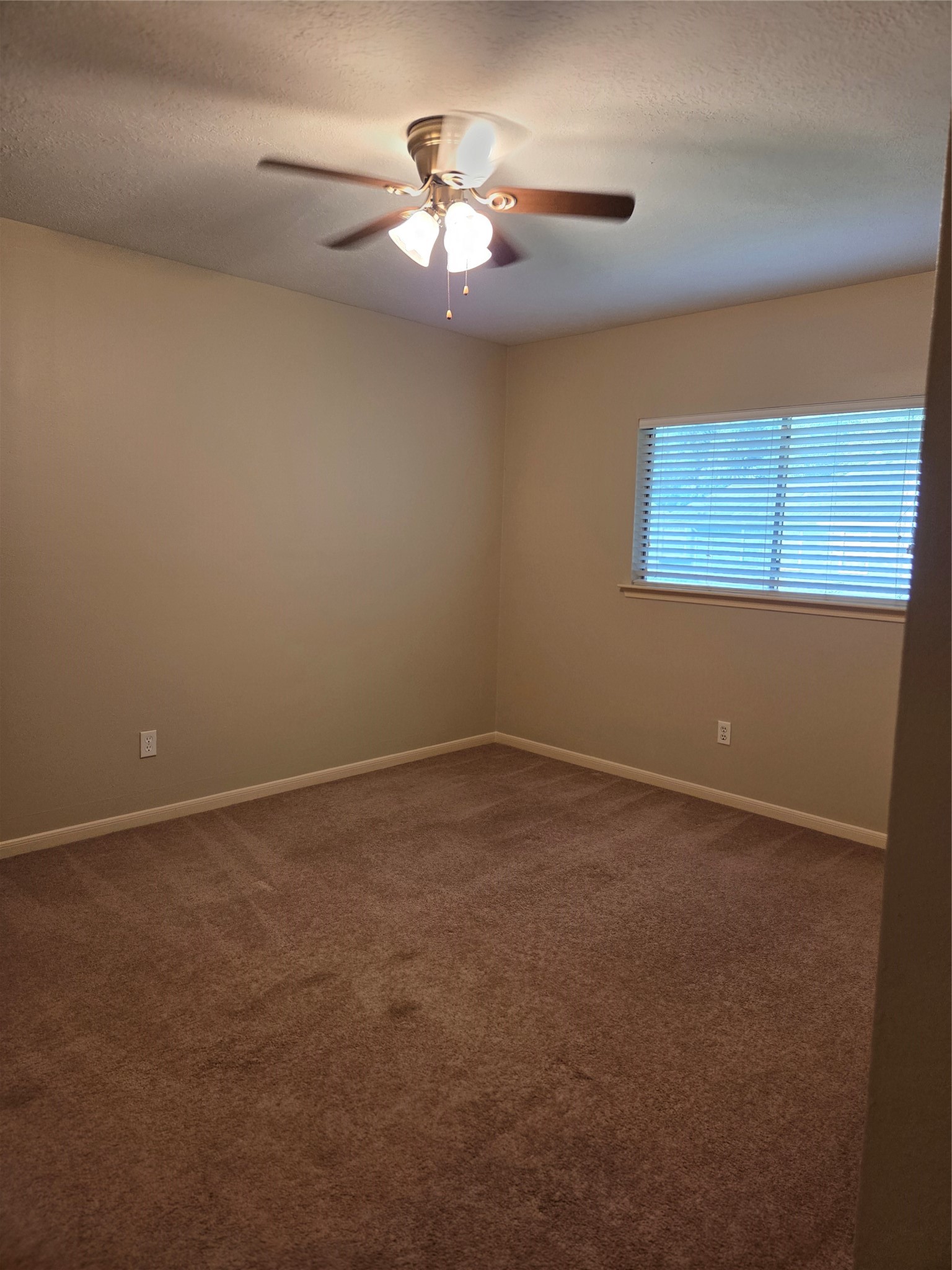 231 Needleleaf Lane Property Photo 19