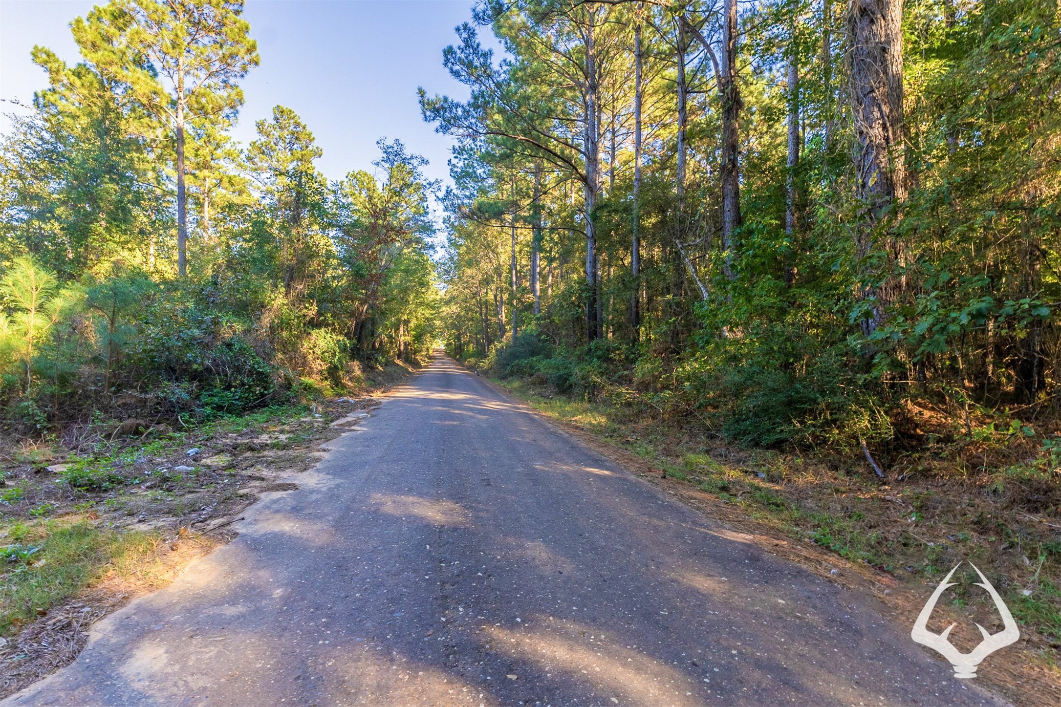 00 County Road 3250 Property Photo 3