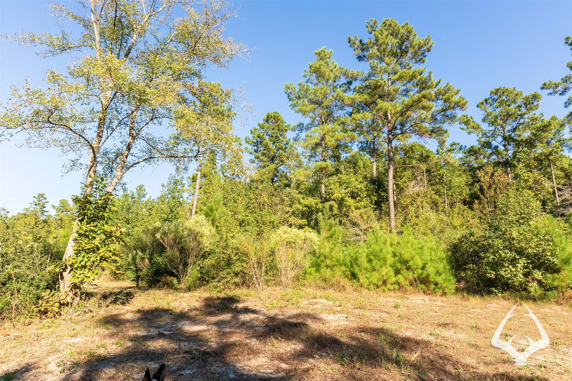 00 County Road 3250 Property Photo 10