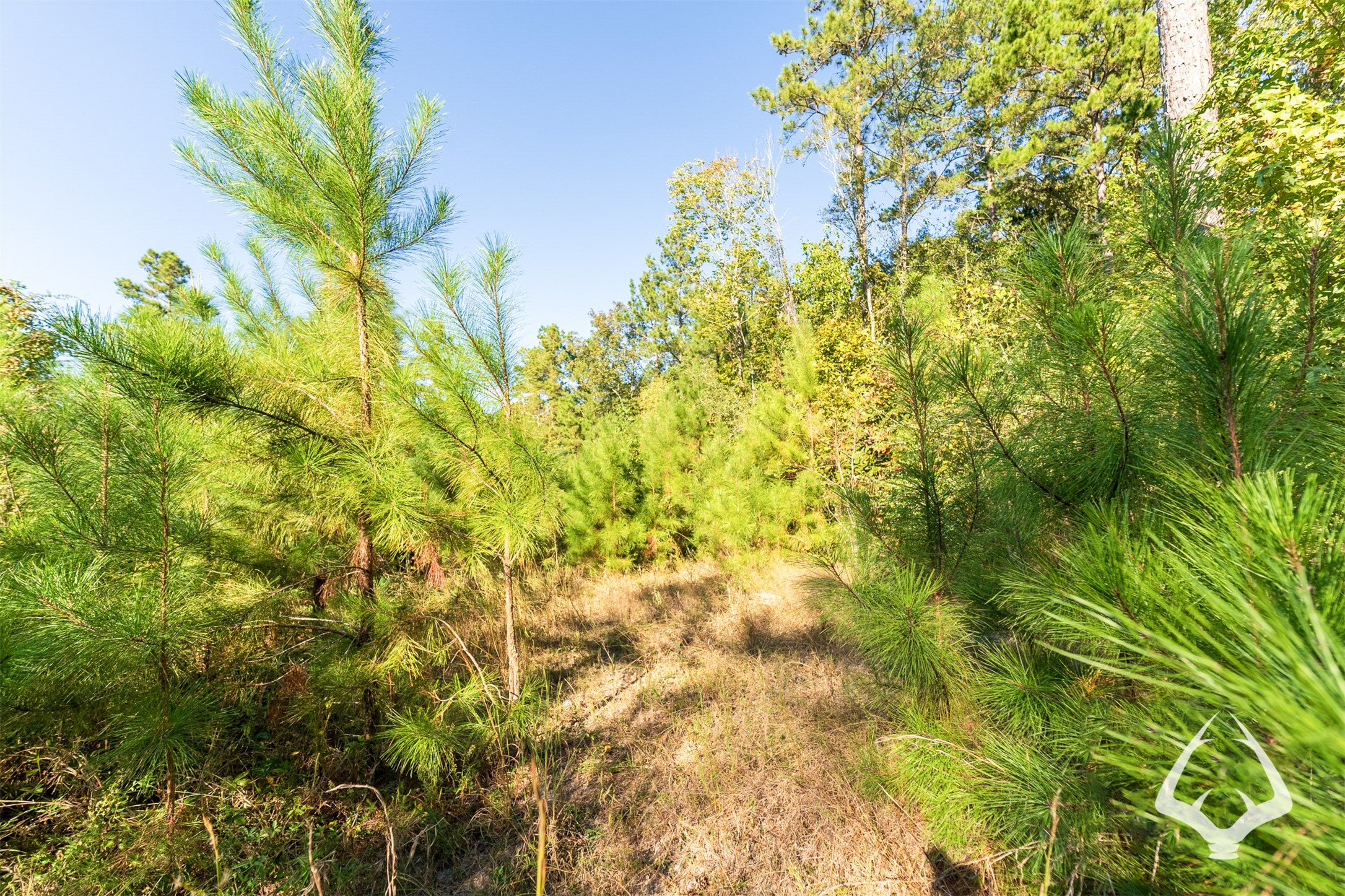 00 County Road 3250 Property Photo 11