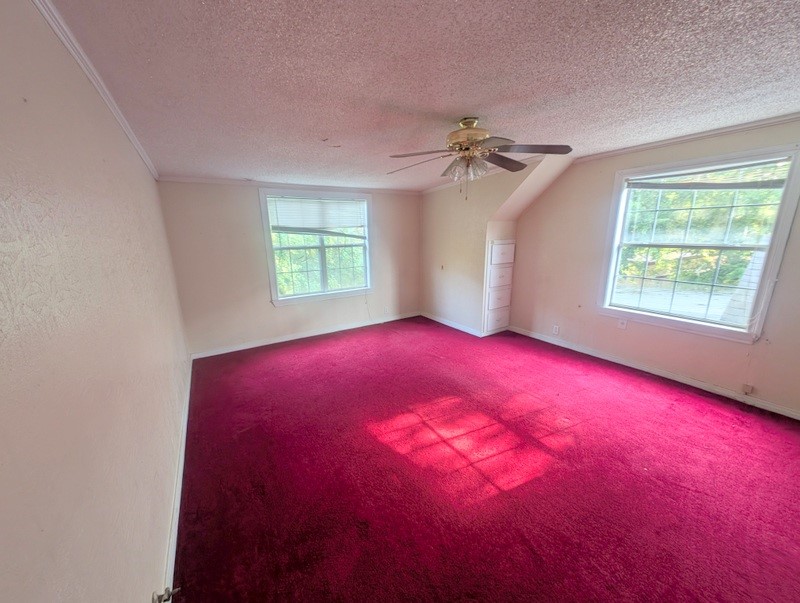 1201 Brazos Street E Property Photo 16