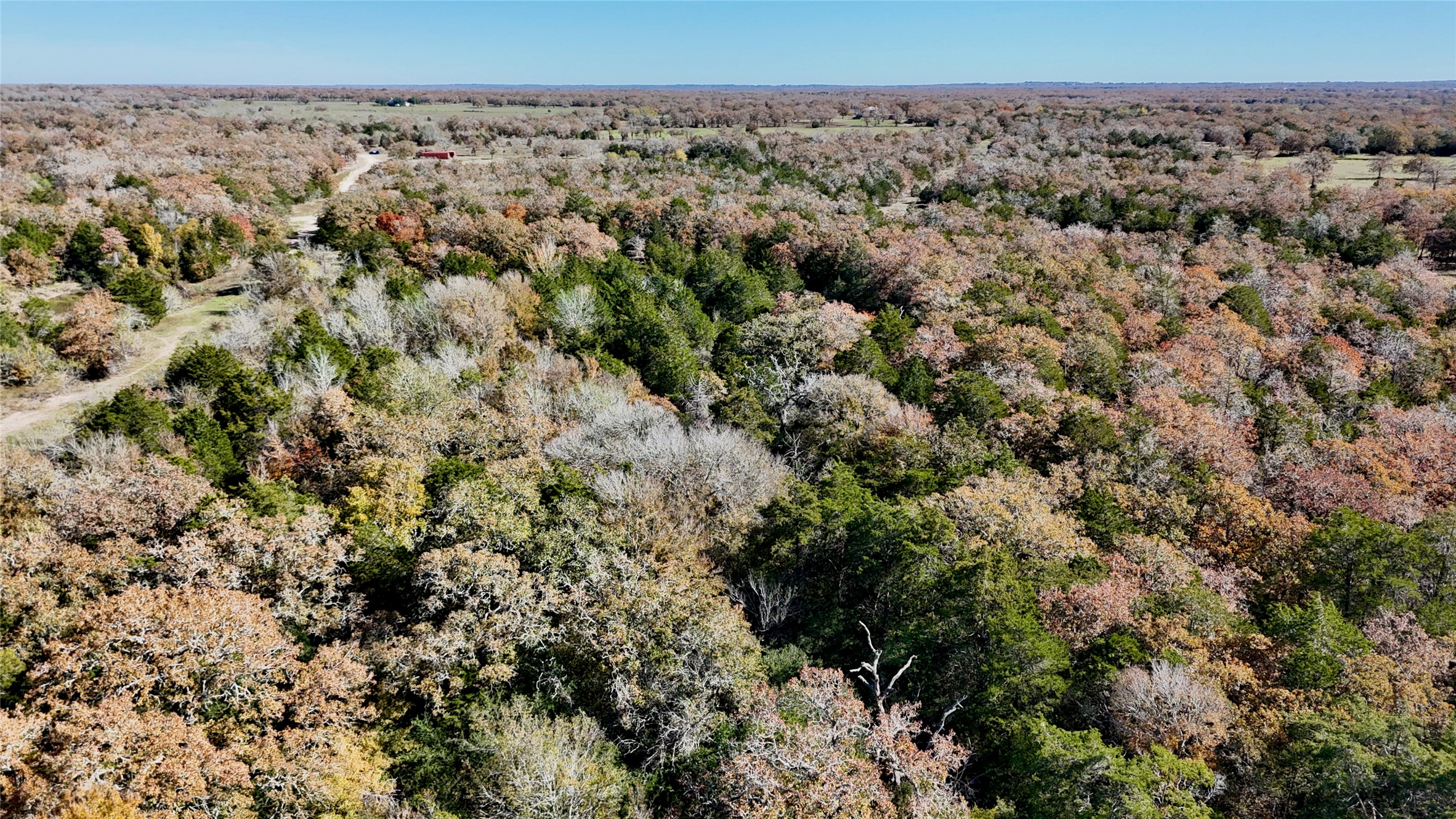 Tbd Herman Lane Property Photo 6
