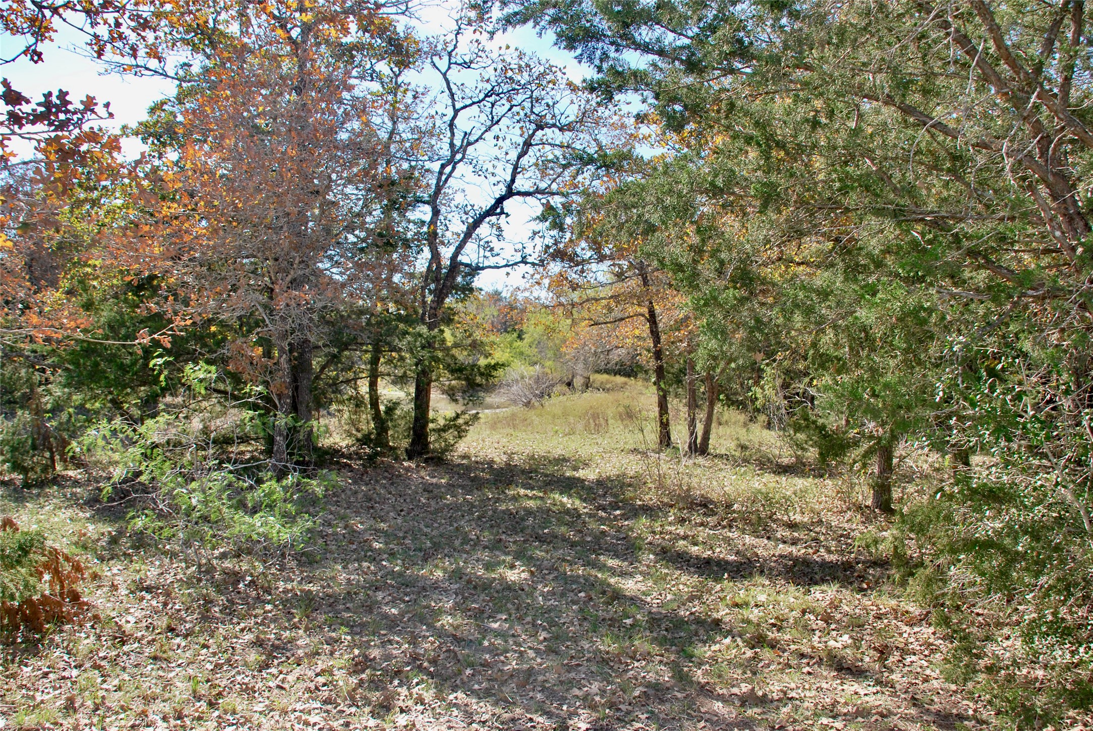 Tbd Herman Lane Property Photo 8