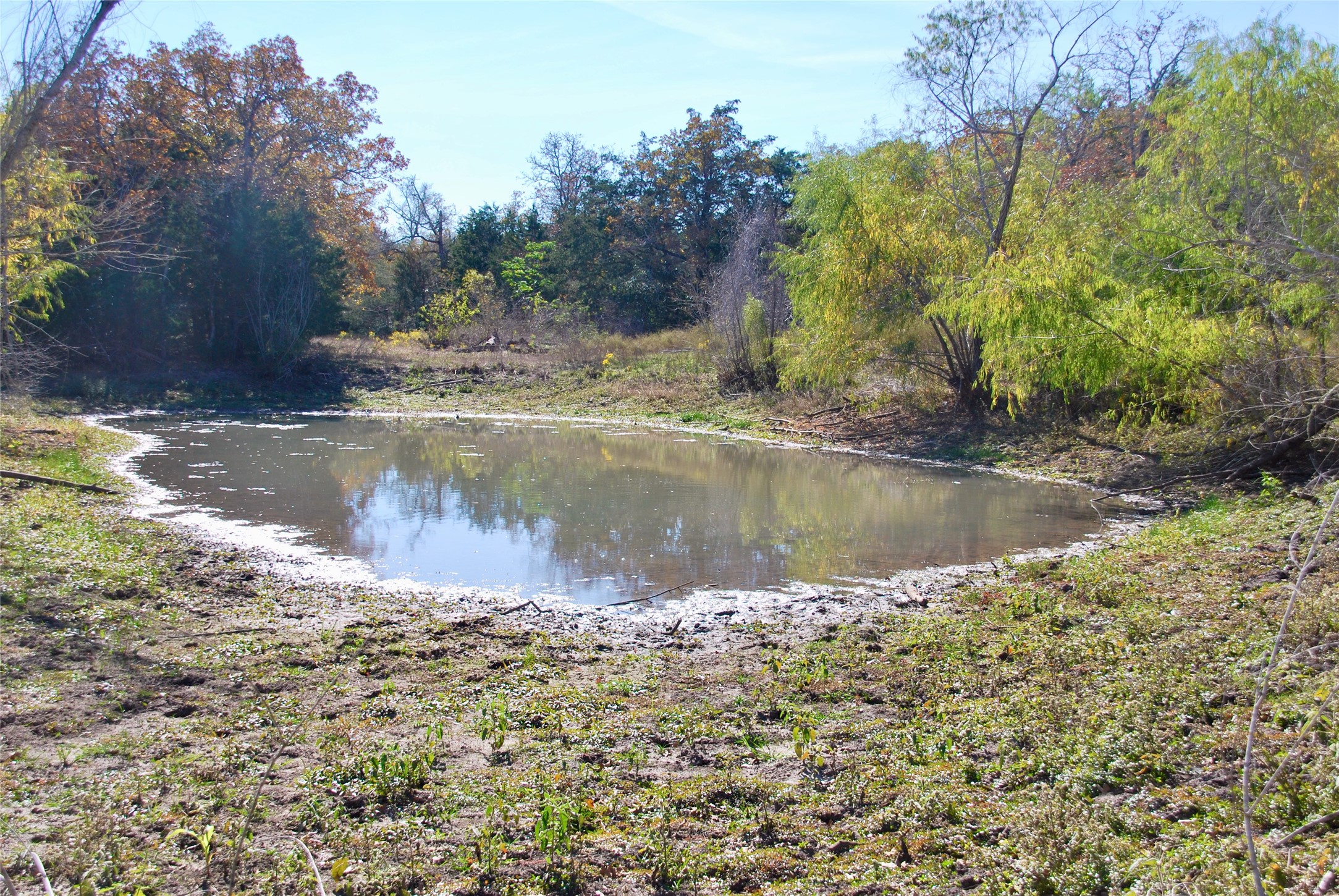 Tbd Herman Lane Property Photo 9
