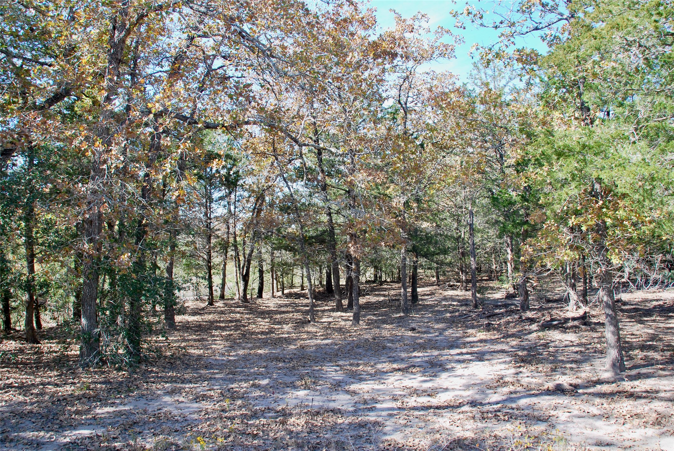 Tbd Herman Lane Property Photo 10