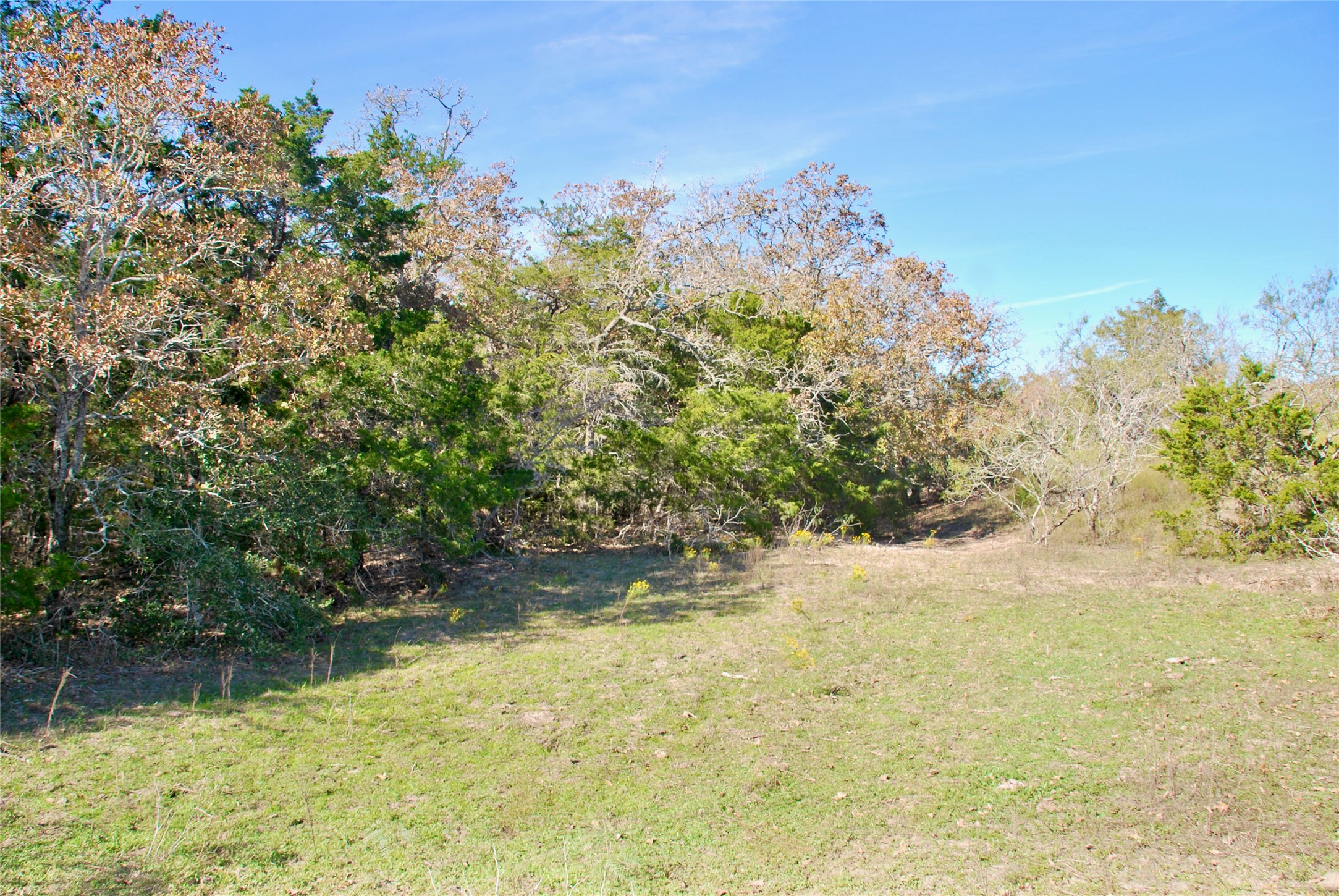 Tbd Herman Lane Property Photo 13