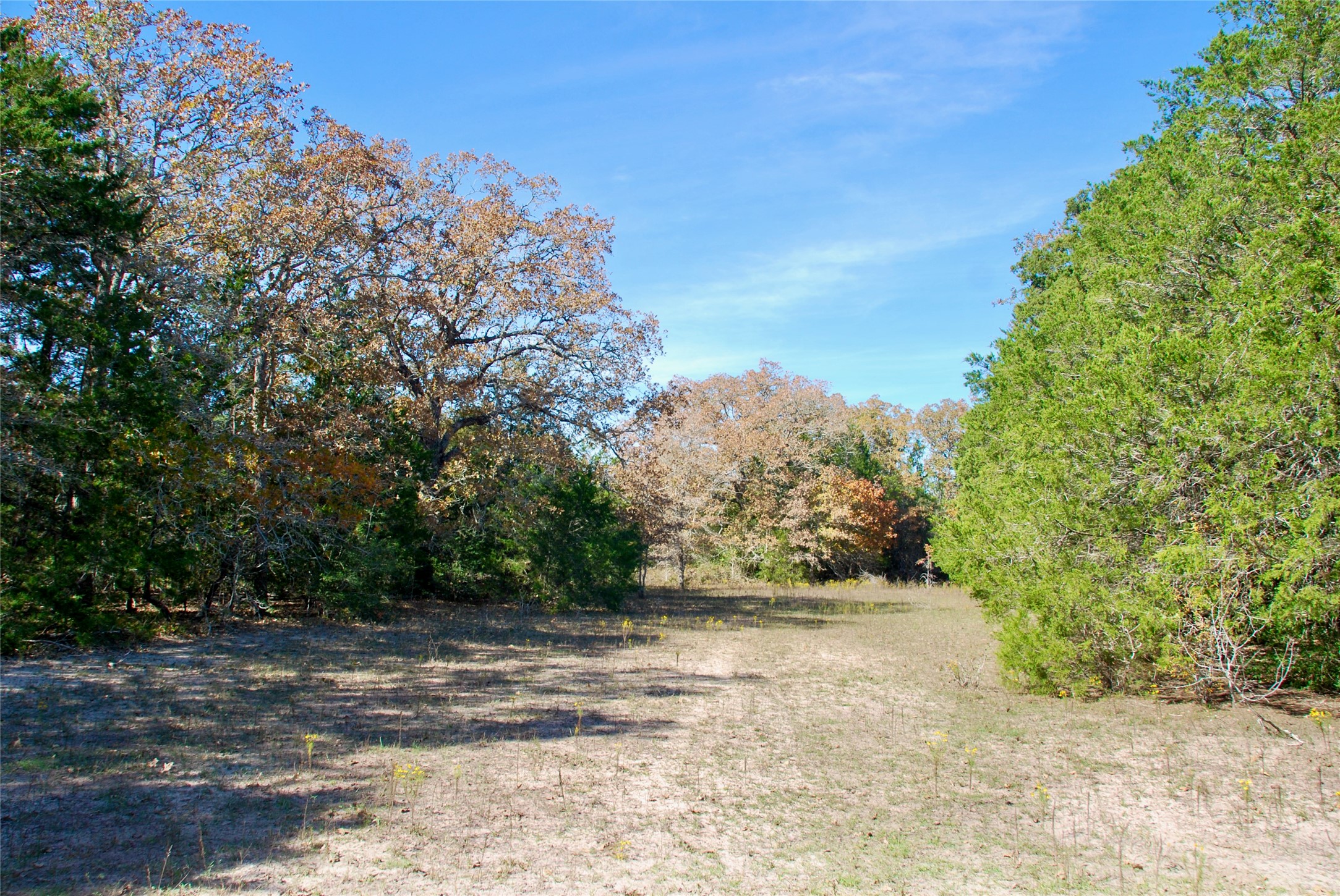 Tbd Herman Lane Property Photo 14