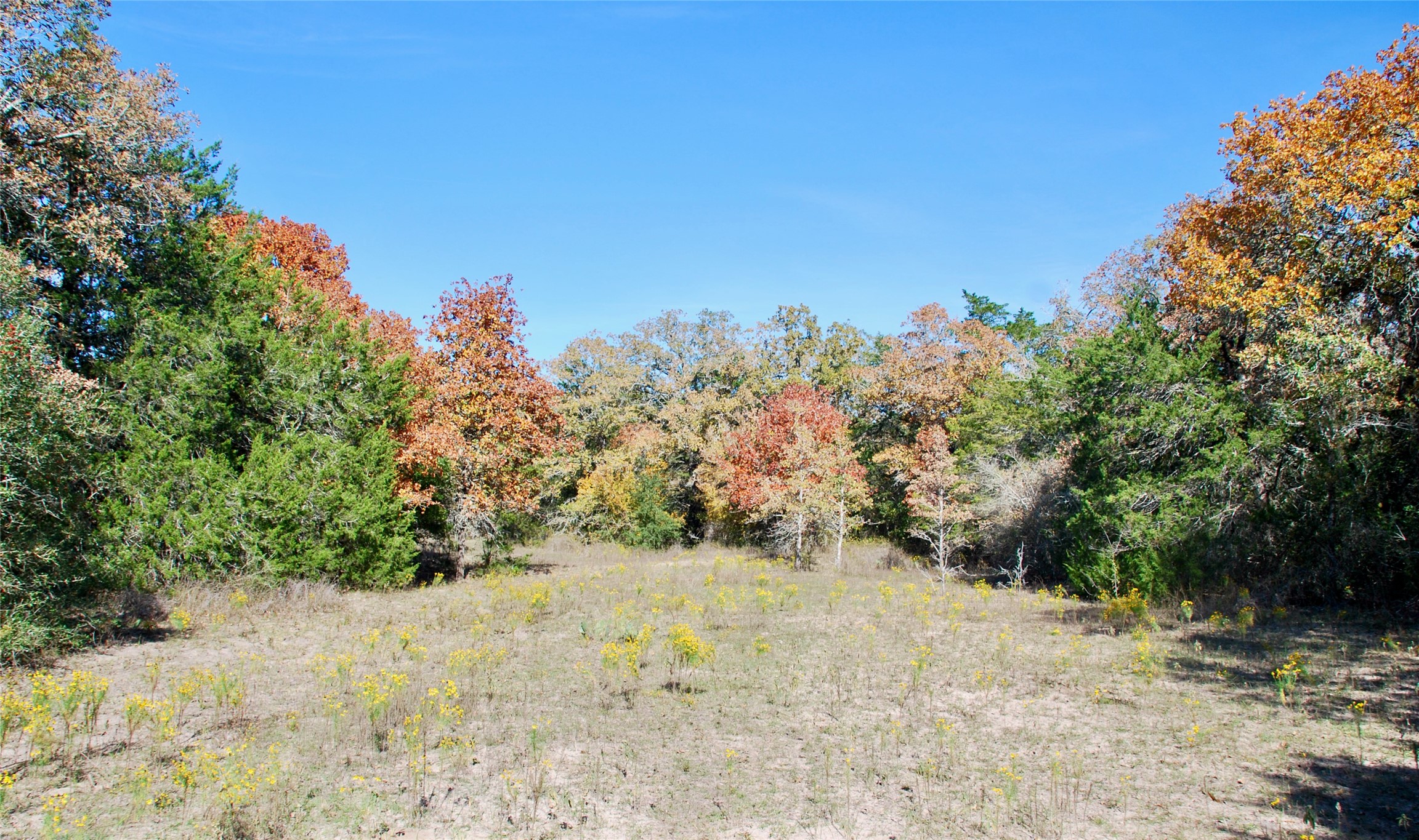 Tbd Herman Lane Property Photo 15
