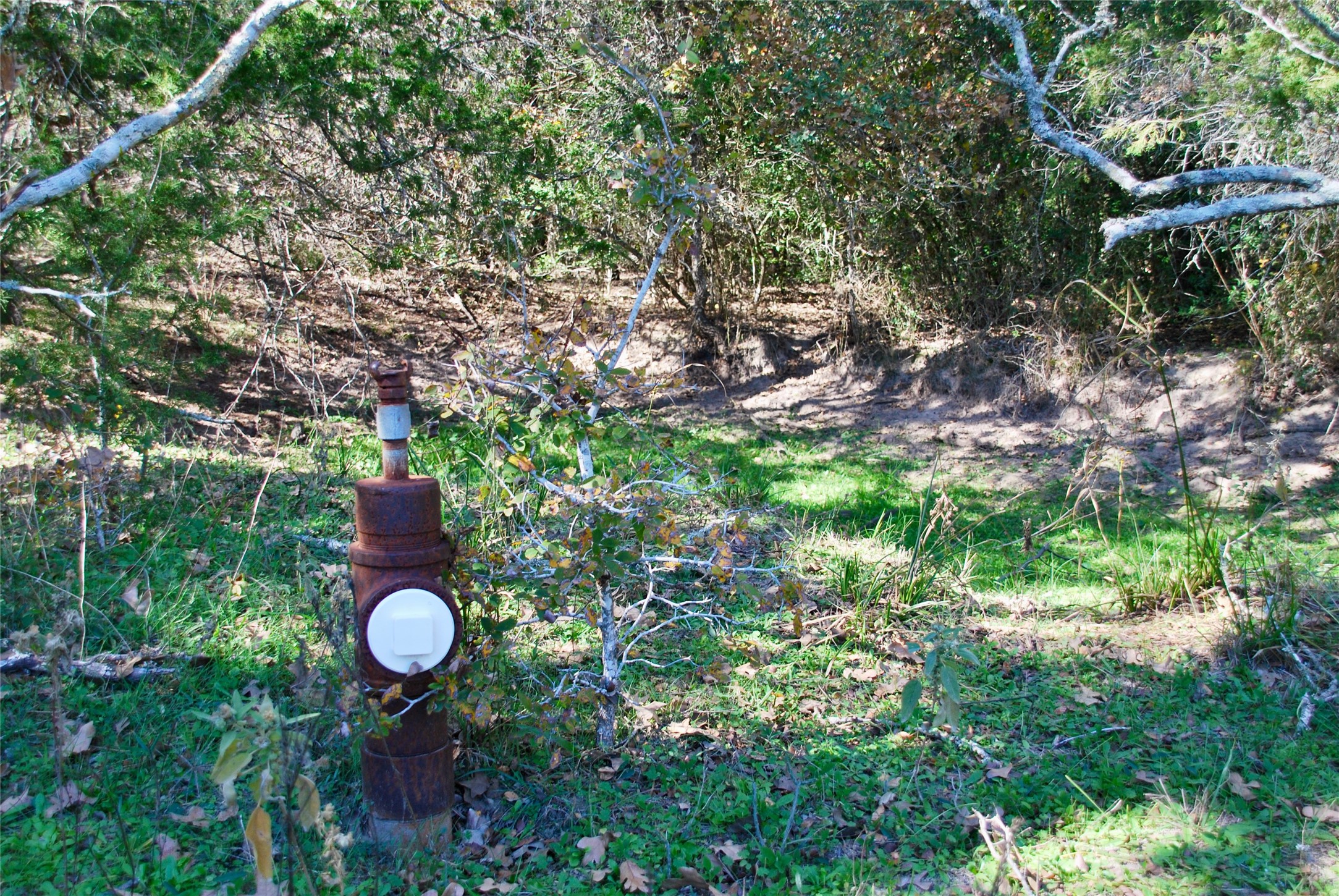 Tbd Herman Lane Property Photo 17