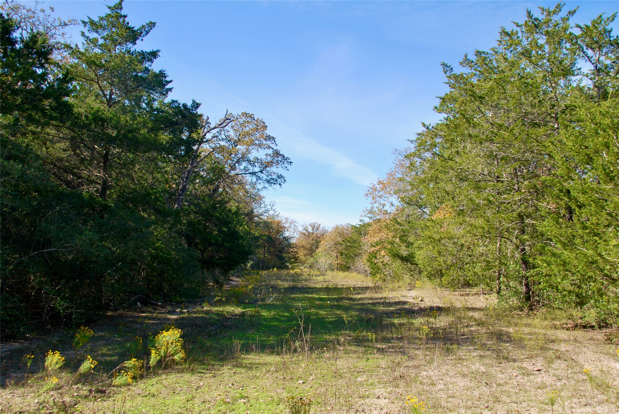 Tbd Herman Lane Property Photo 18