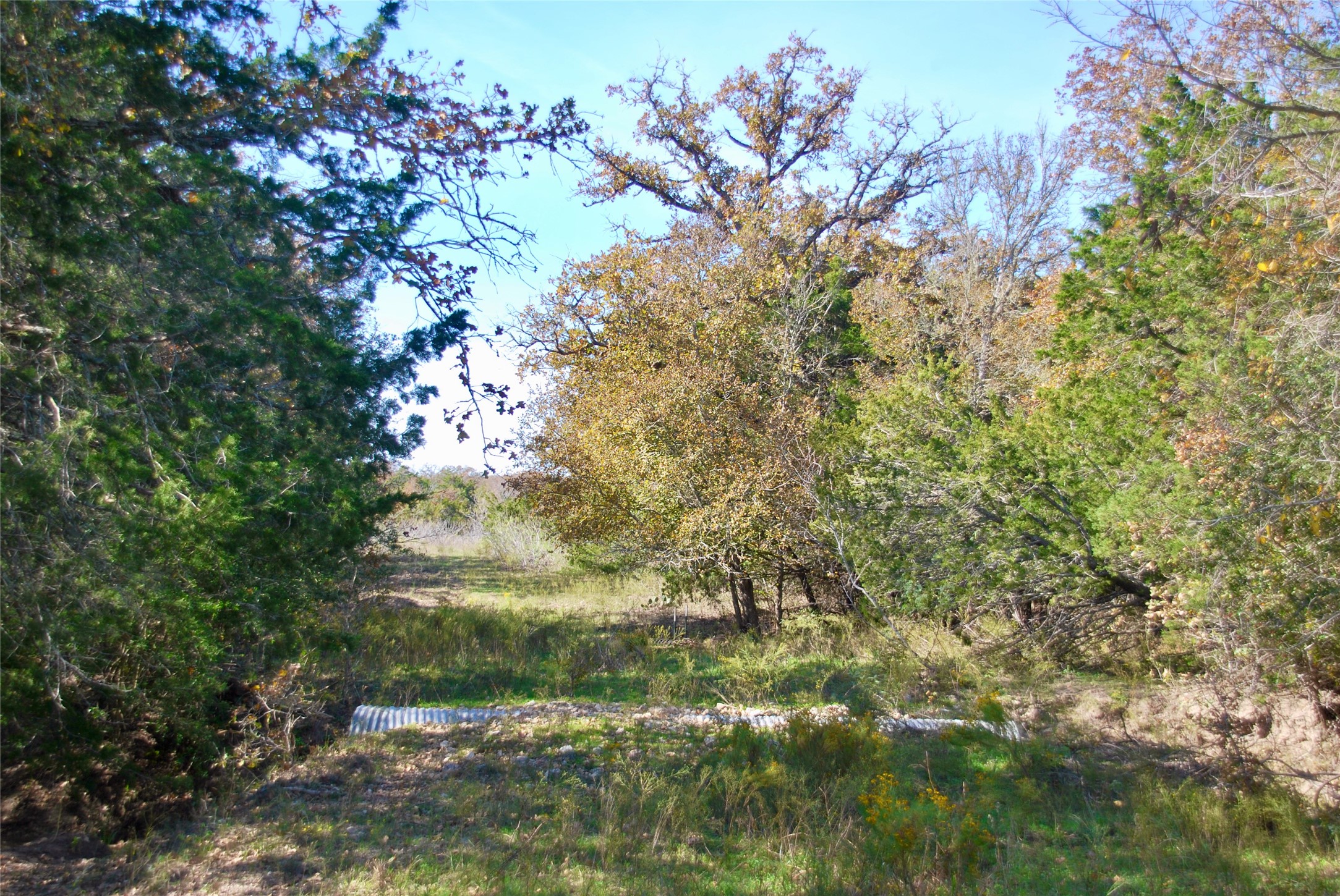 Tbd Herman Lane Property Photo 19