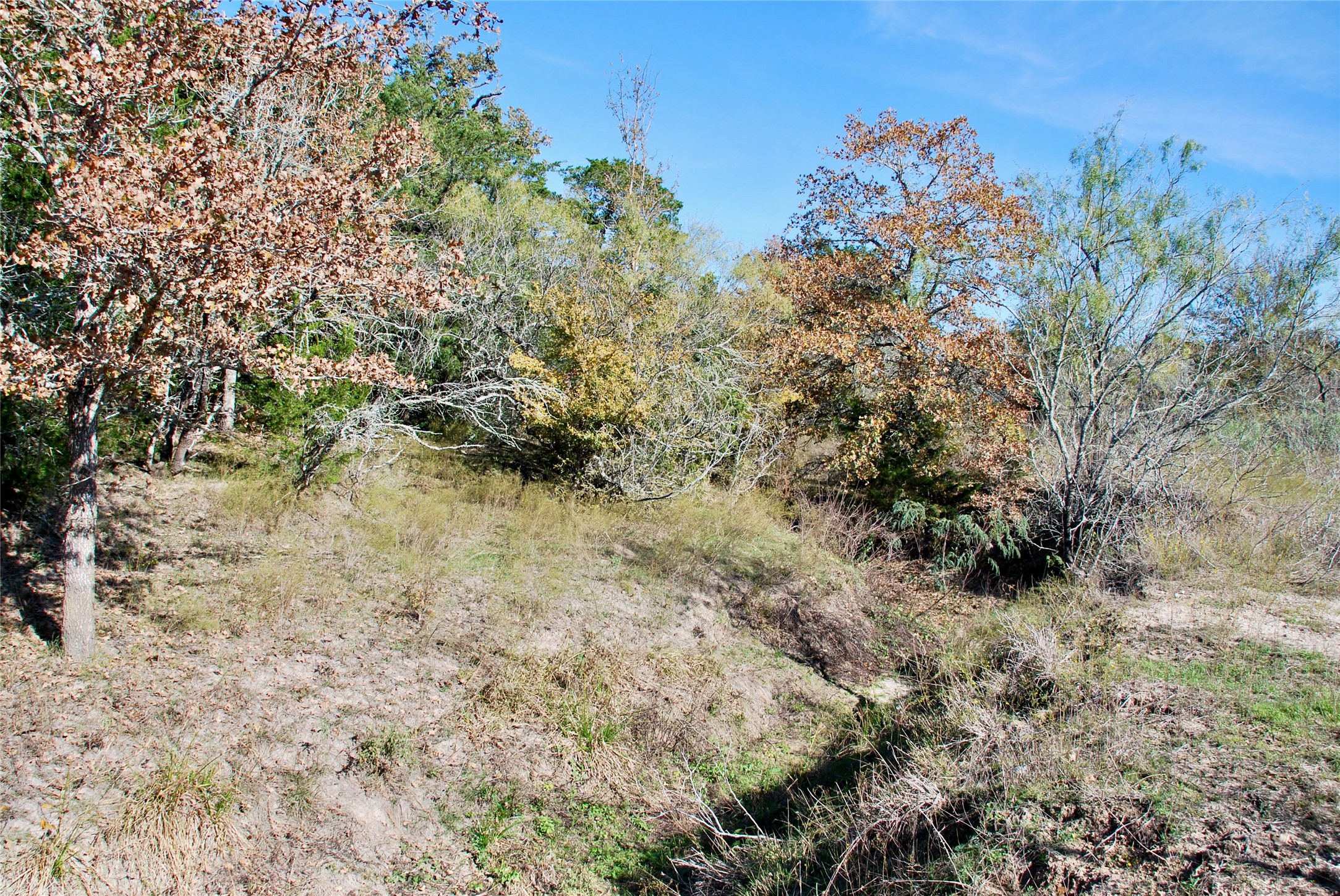 Tbd Herman Lane Property Photo 20