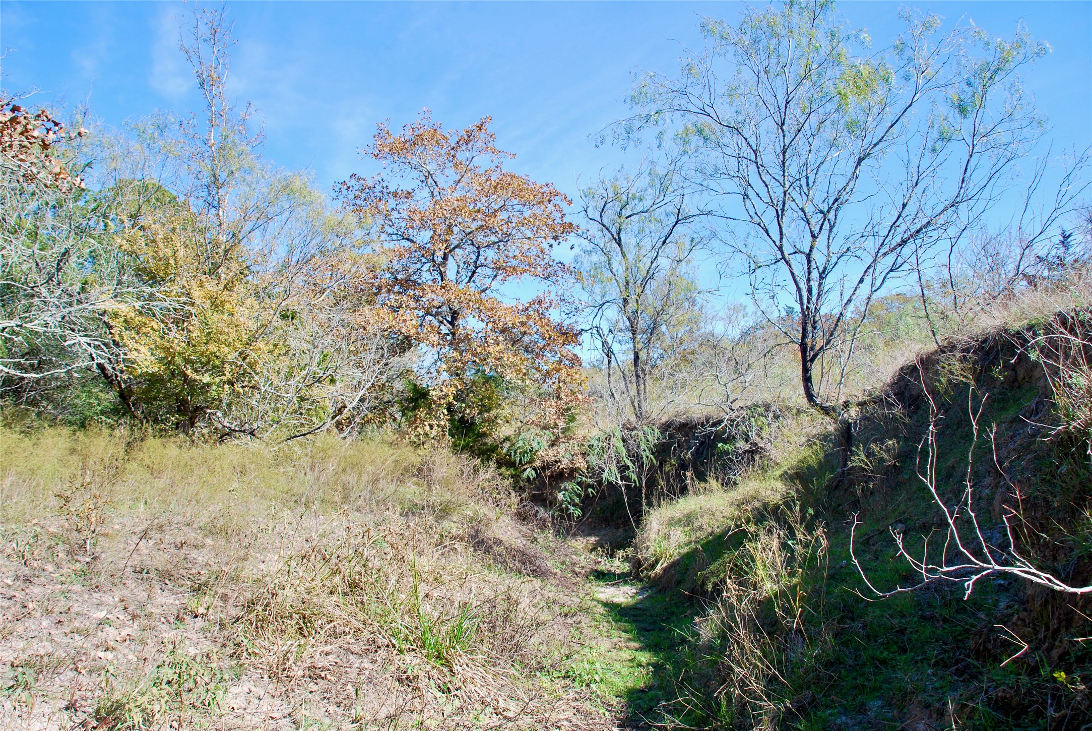 Tbd Herman Lane Property Photo 22
