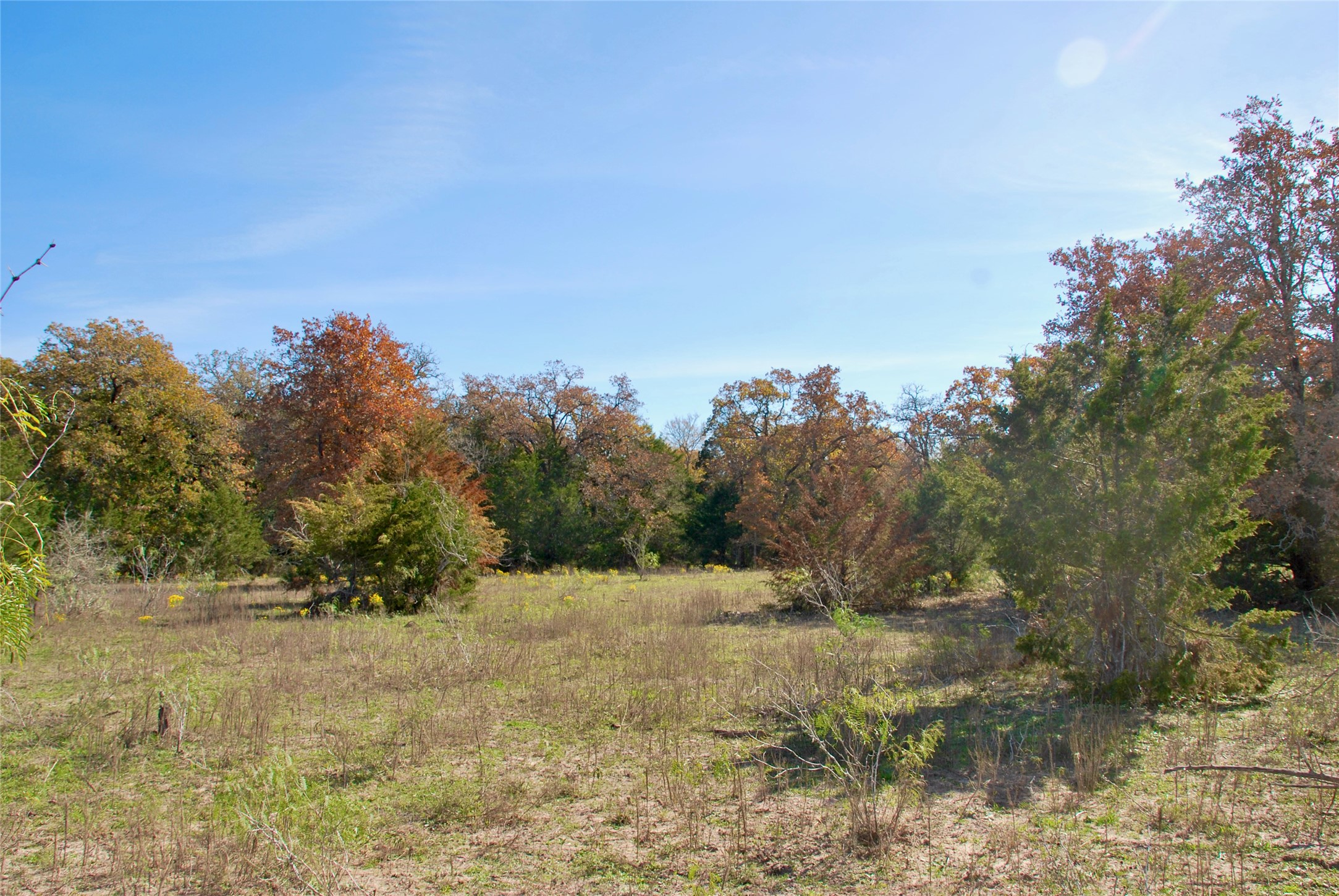 Tbd Herman Lane Property Photo 23