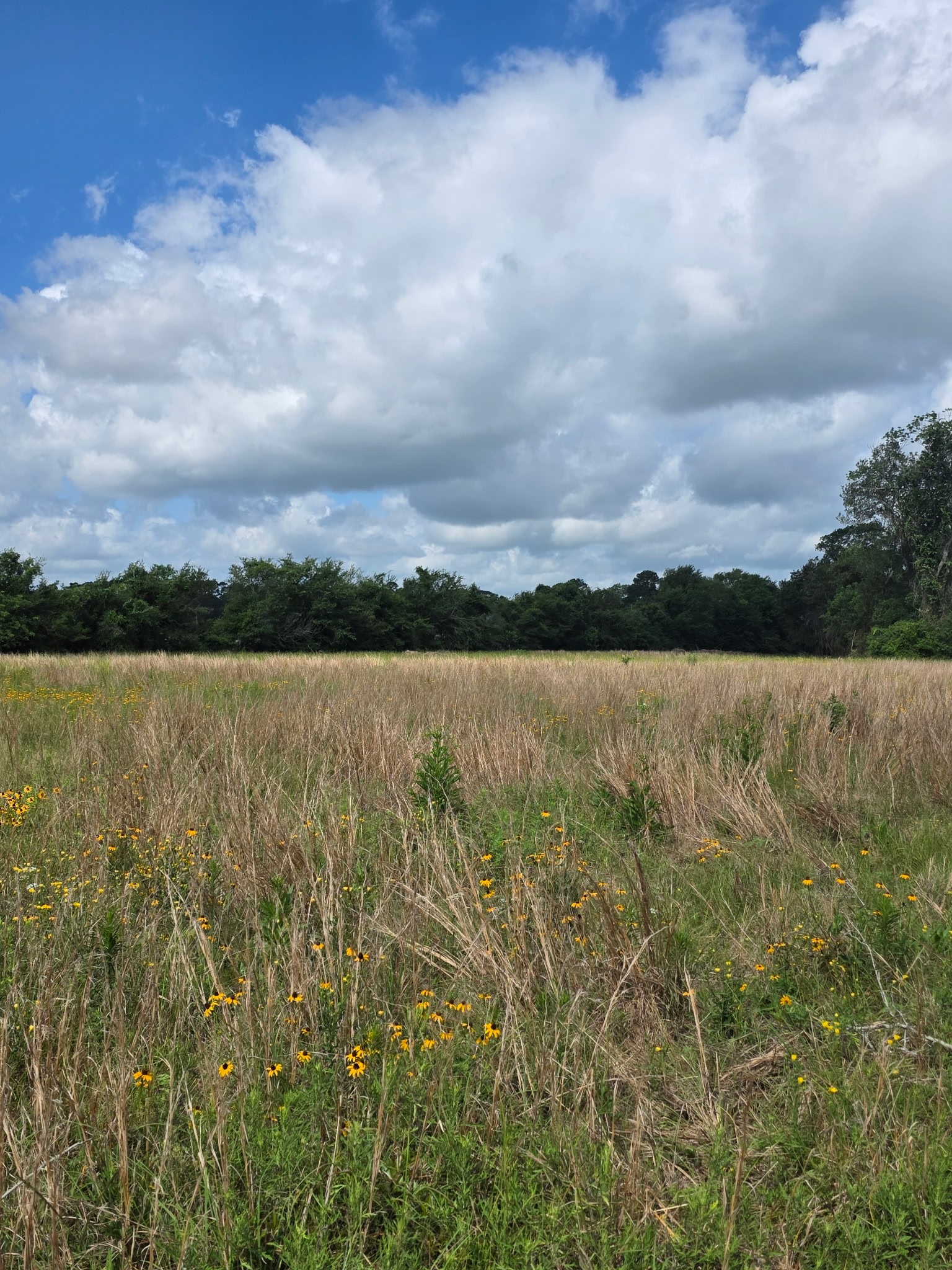 Tbd Lot 17 County Road 201 Property Photo 4