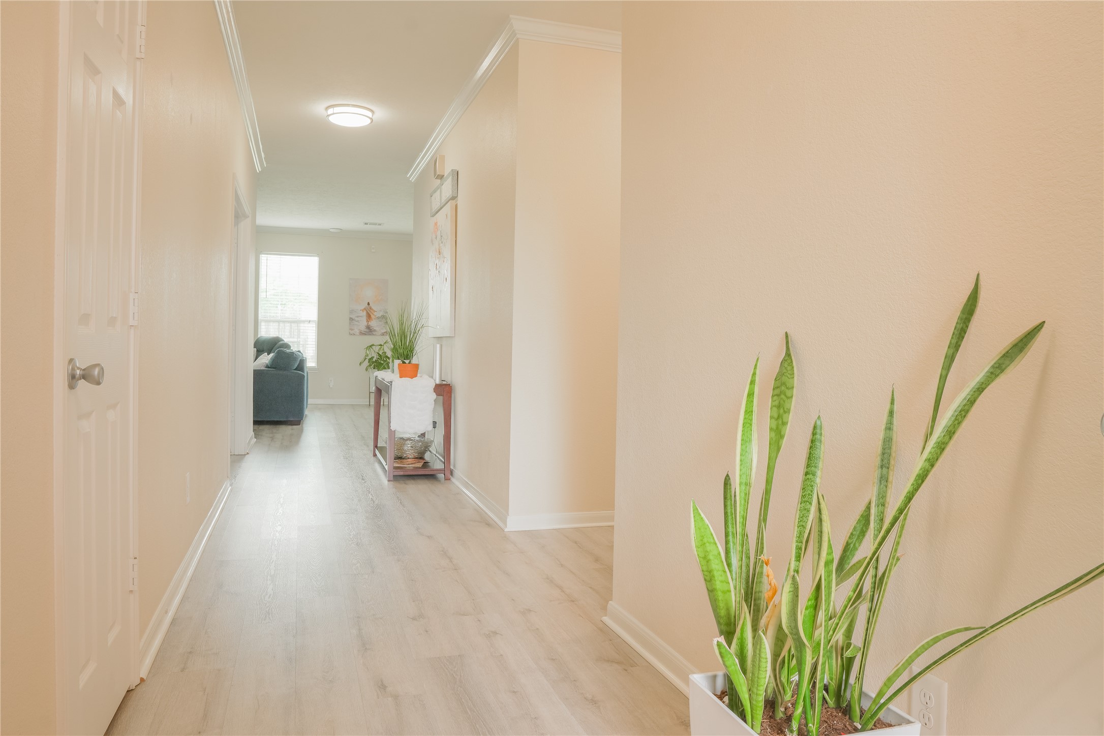 21423 Rioja Bluff Lane Property Photo 4