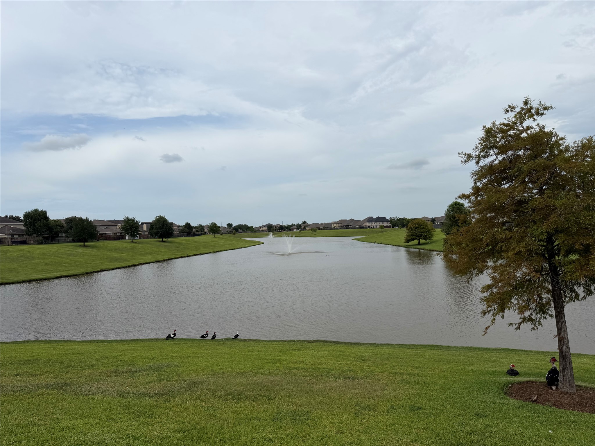 21423 Rioja Bluff Lane Property Photo 40