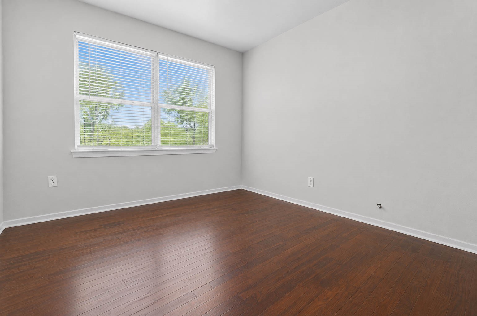 7217 Parker Road Property Photo 15