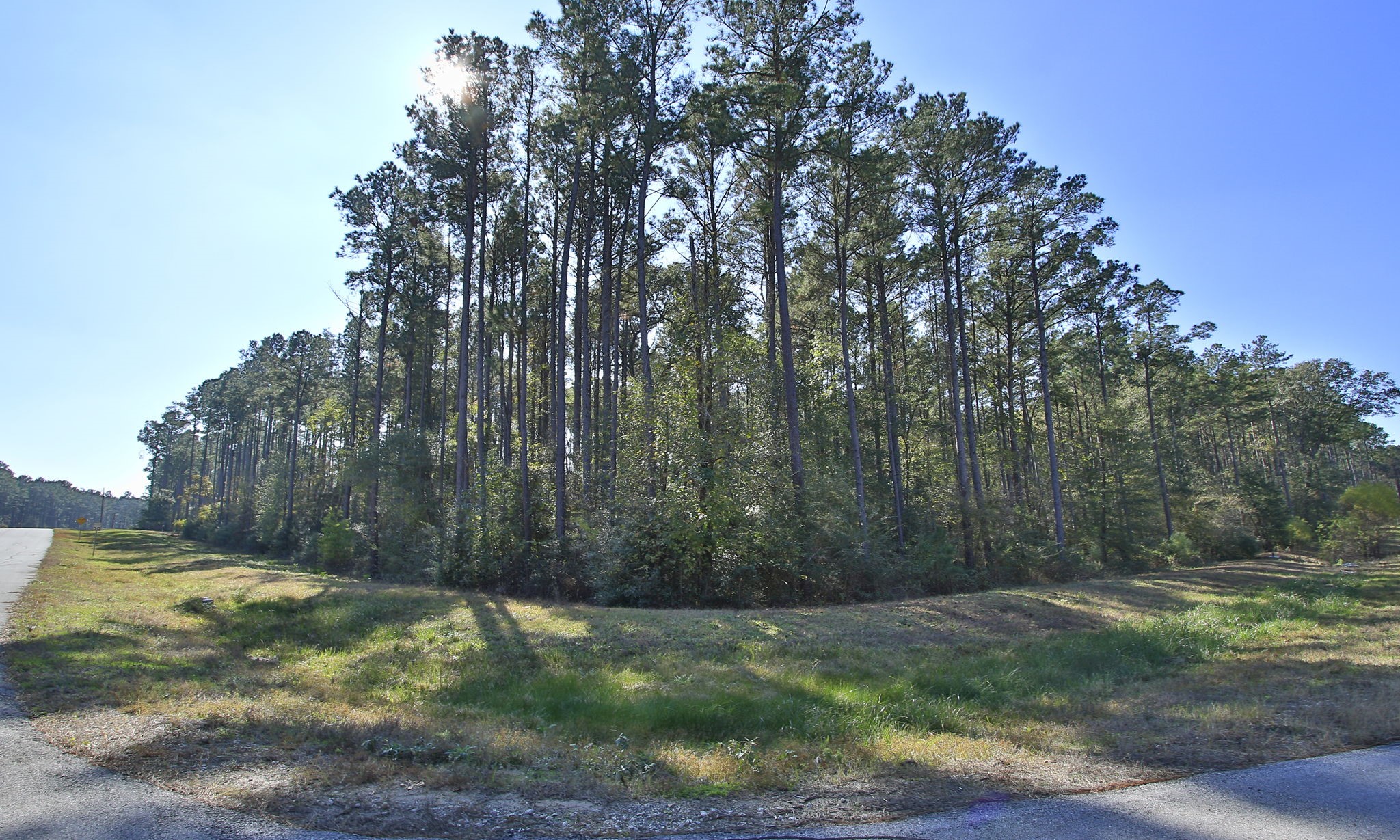 12-22-58 Grey Feather Road Property Photo 5