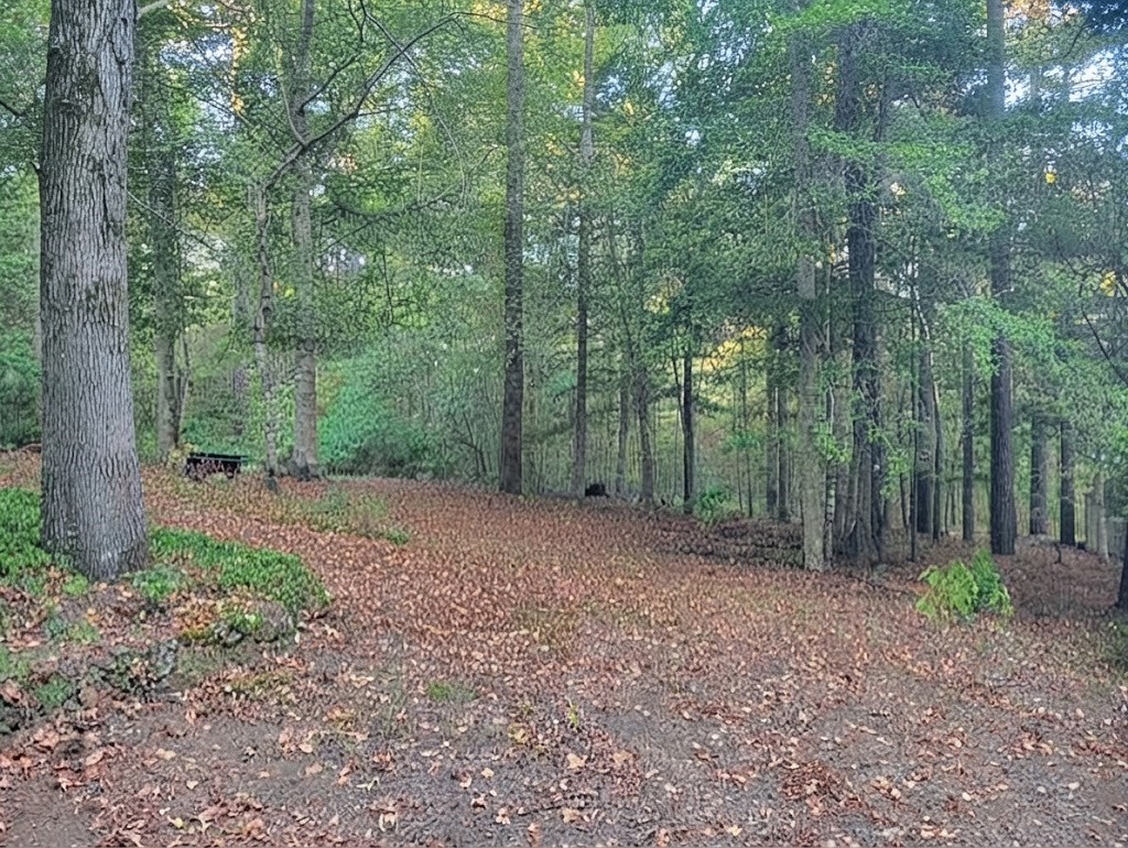 193 Westwood Loop Property Photo 19