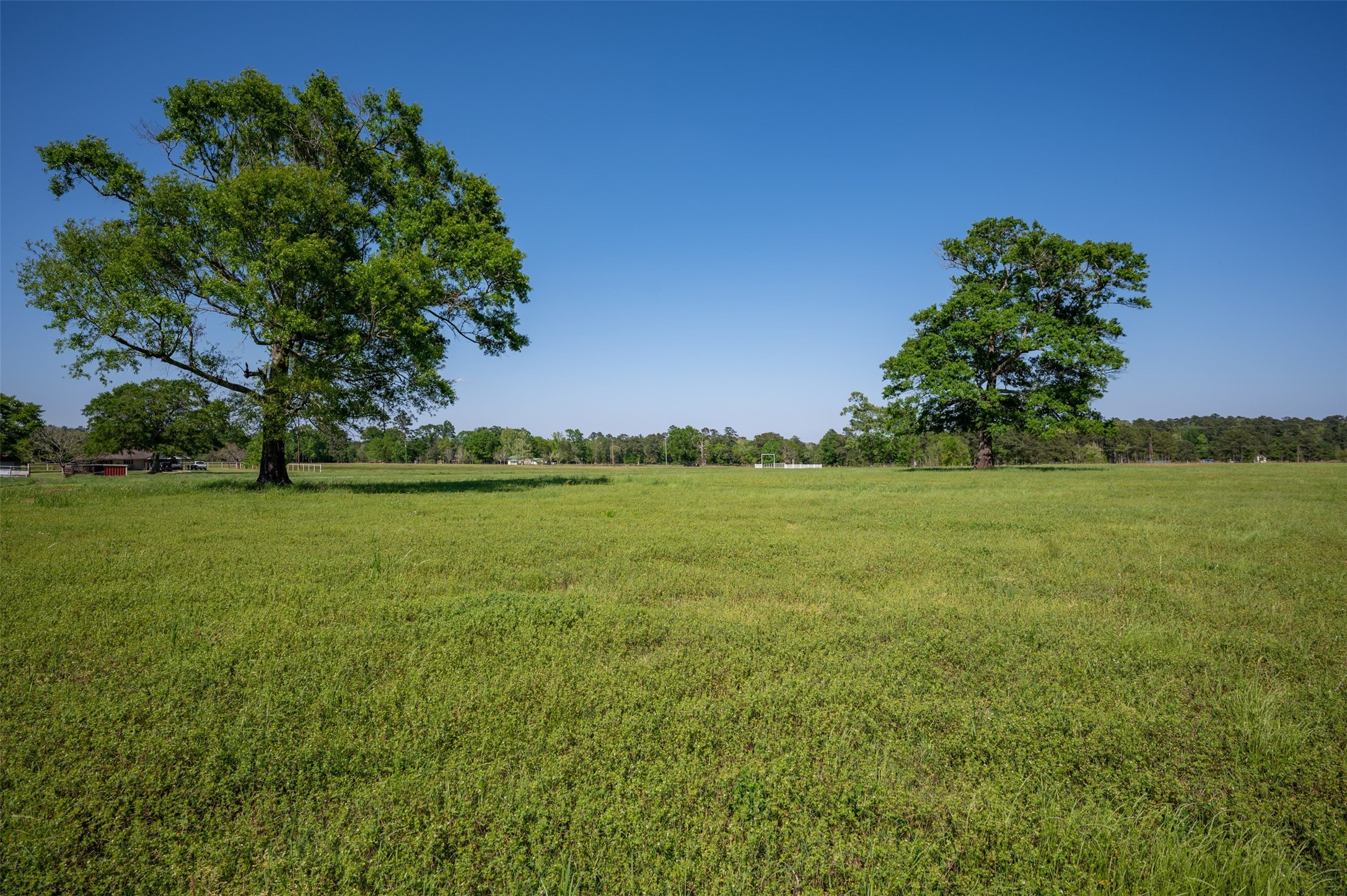 219 County Road 4800 Property Photo 45