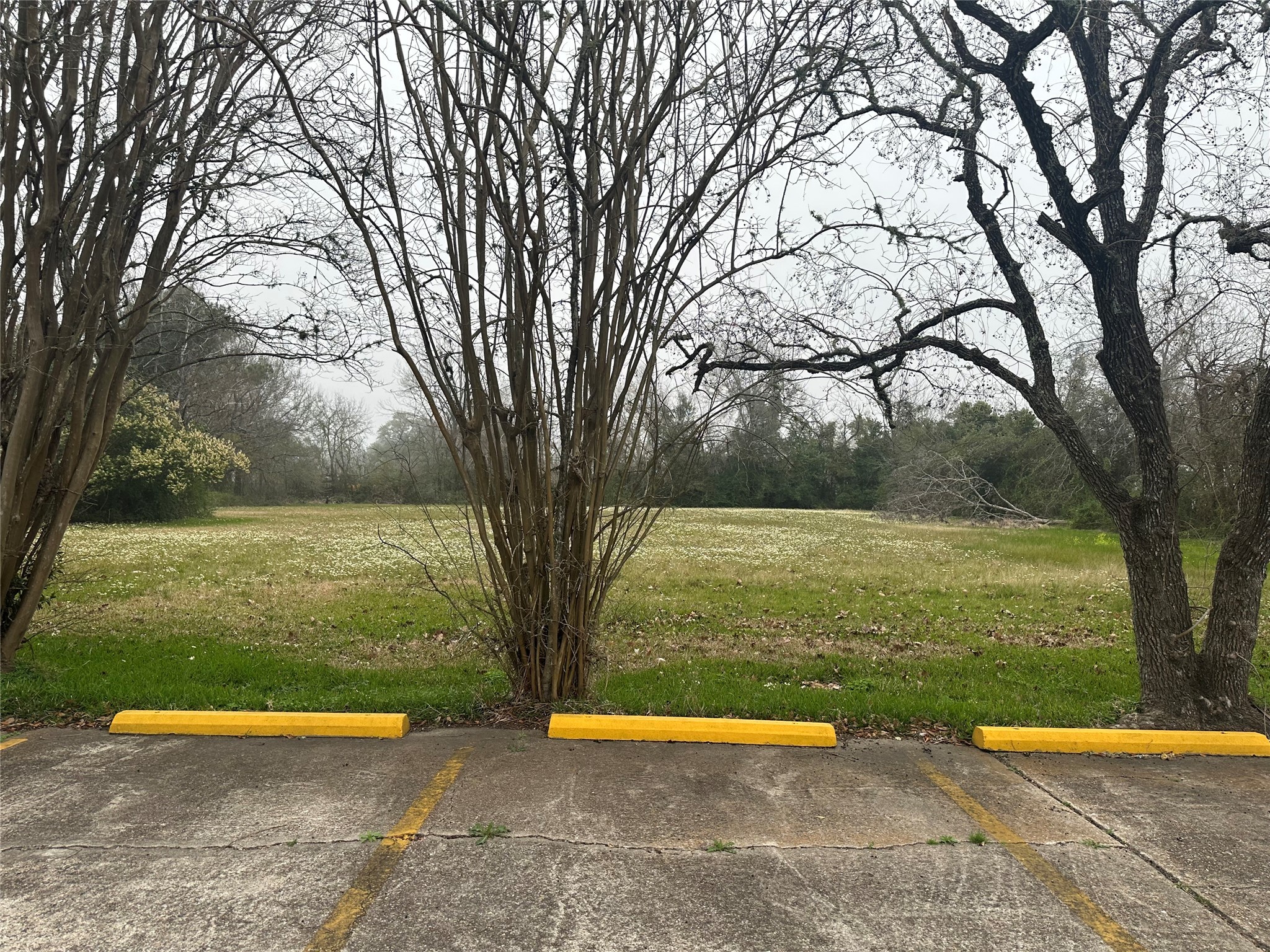 000 Mabry Road Property Photo