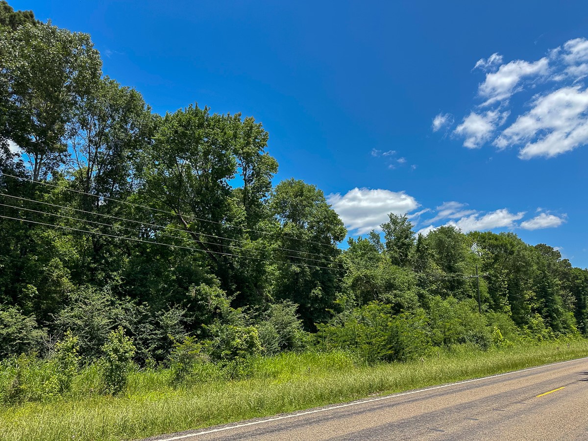23 Highway 94 Road Property Photo 8