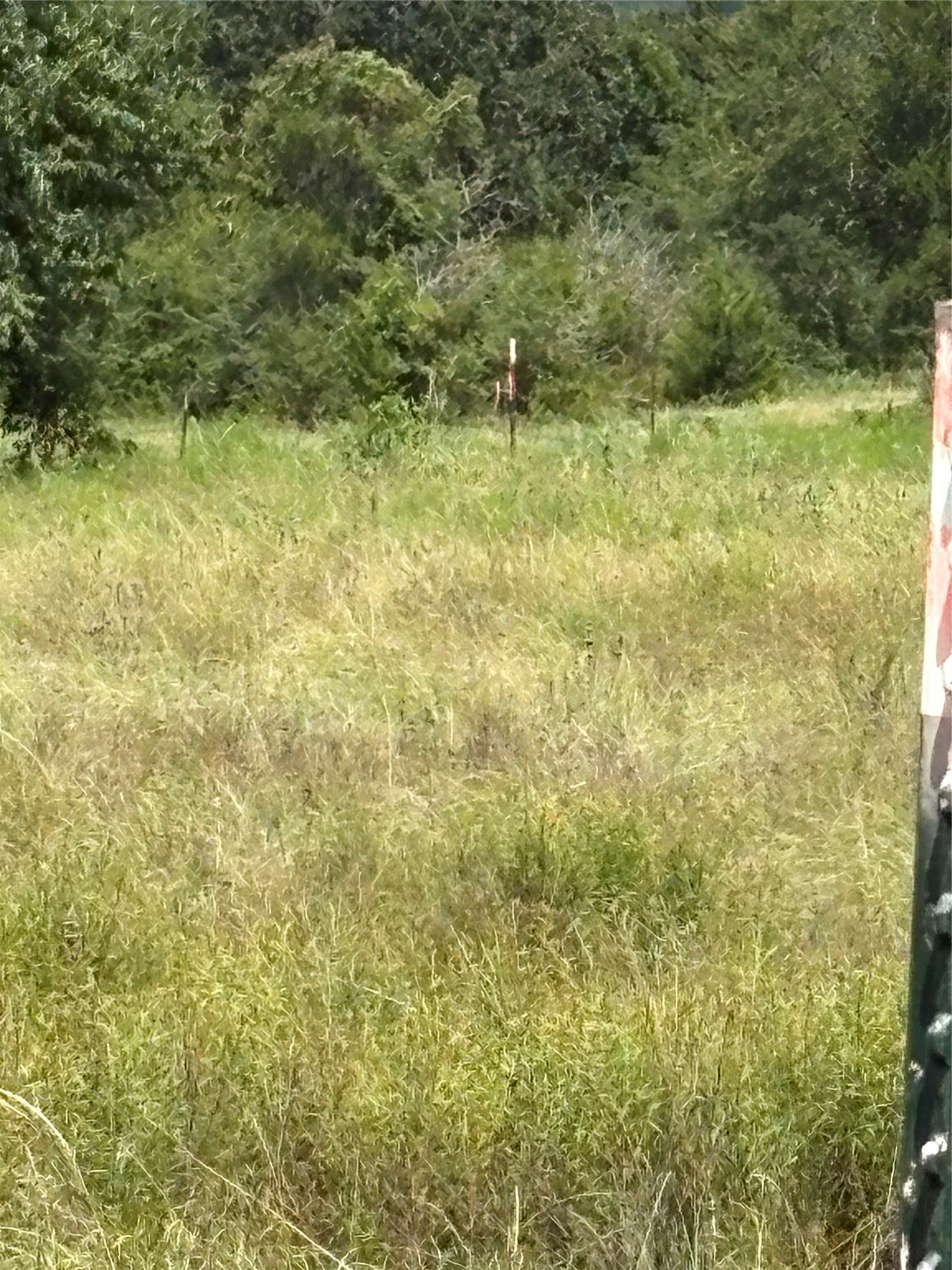 10265 Fm 1774 Tract B1 Property Photo 7