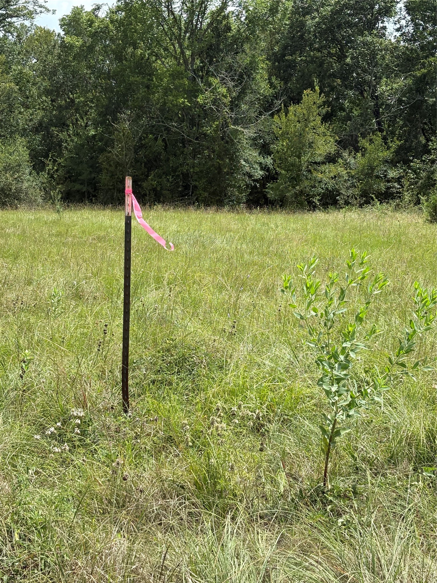 10265 Fm 1774 Tract B1 Property Photo 9