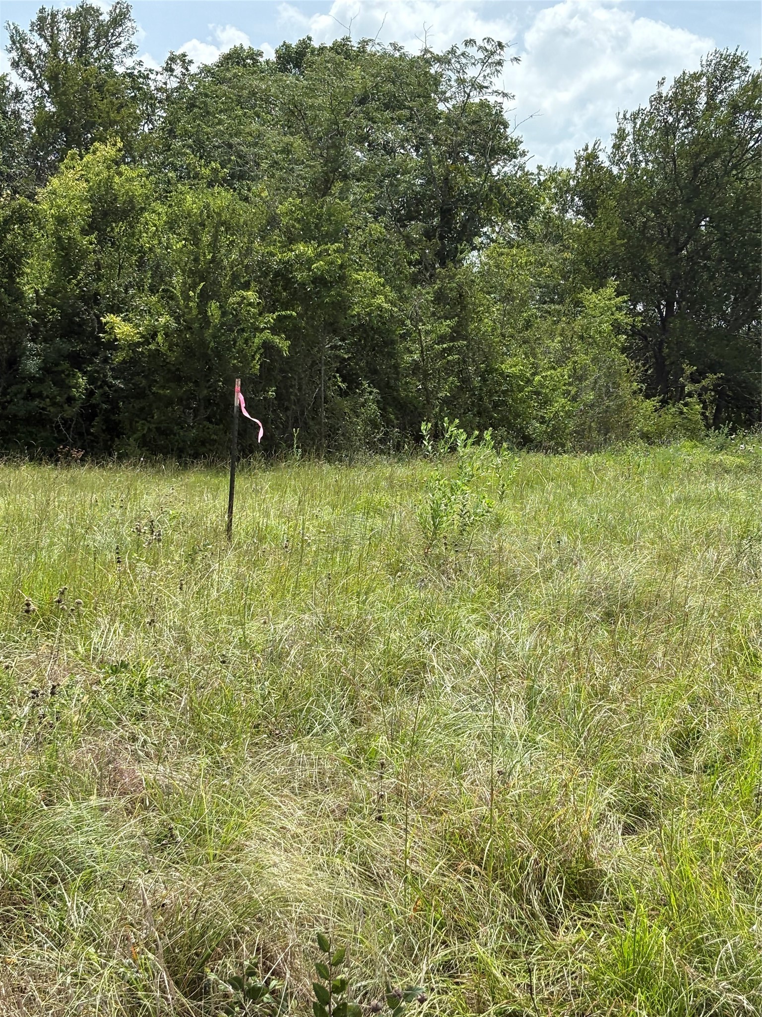 10265 Fm 1774 Tract B1 Property Photo 10