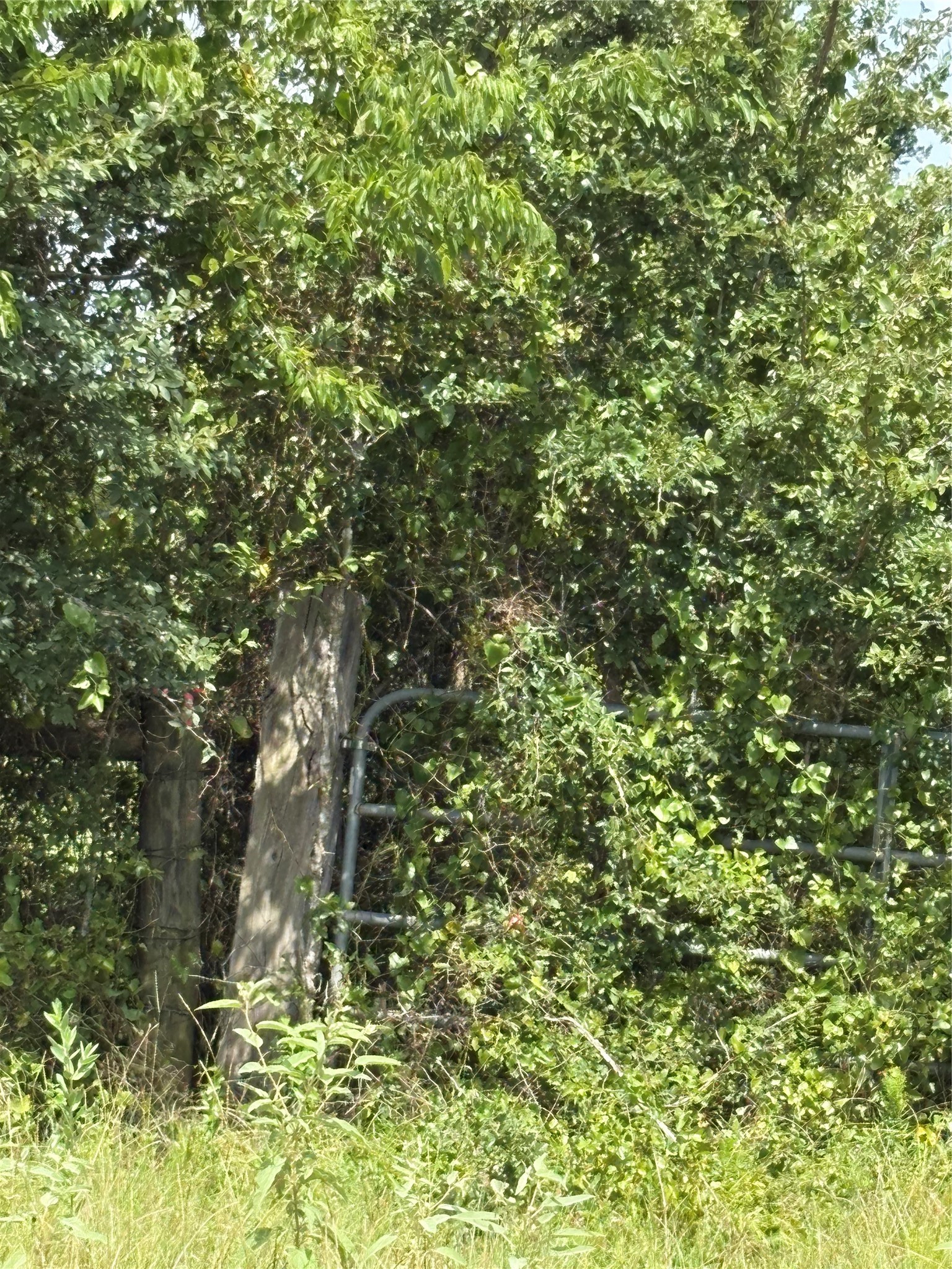 10265 Fm 1774 Tract B1 Property Photo 11