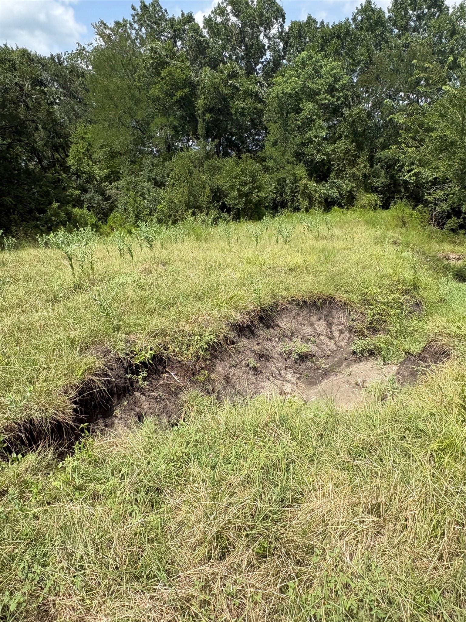 10265 Fm 1774 Tract B1 Property Photo 13