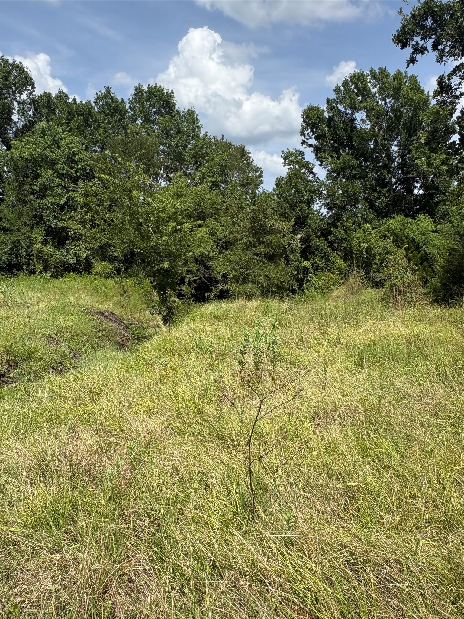 10265 Fm 1774 Tract B1 Property Photo 14