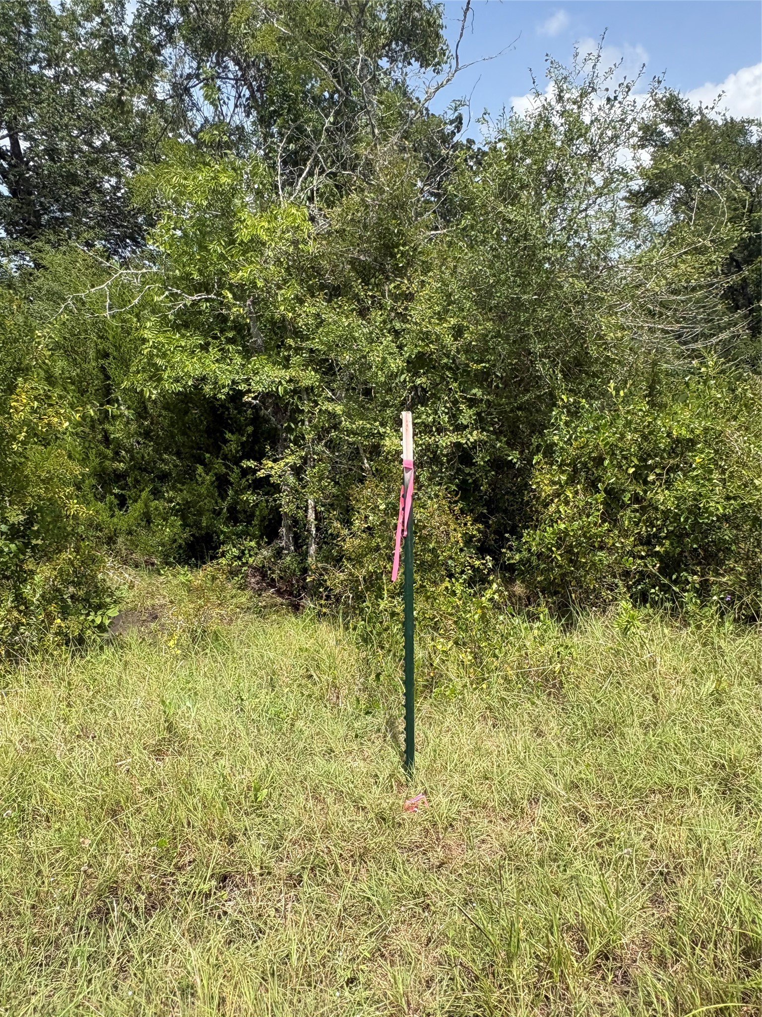 10265 Fm 1774 Tract B1 Property Photo 15