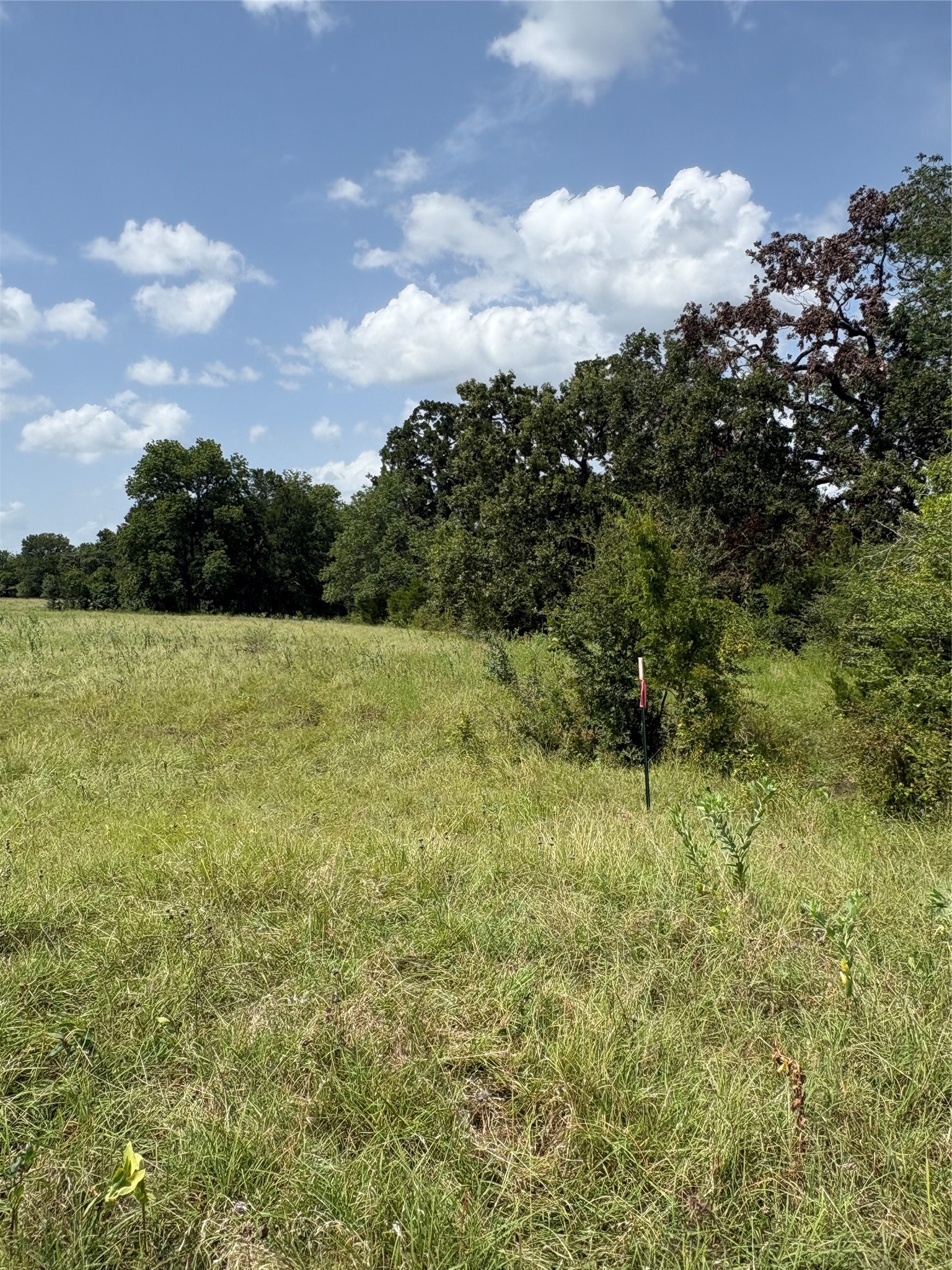 10265 Fm 1774 Tract B1 Property Photo 16