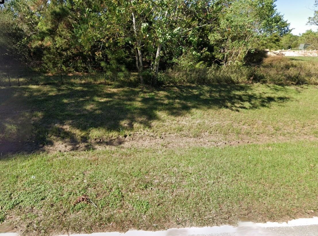 0 Cypress Church Road Property Photo 2