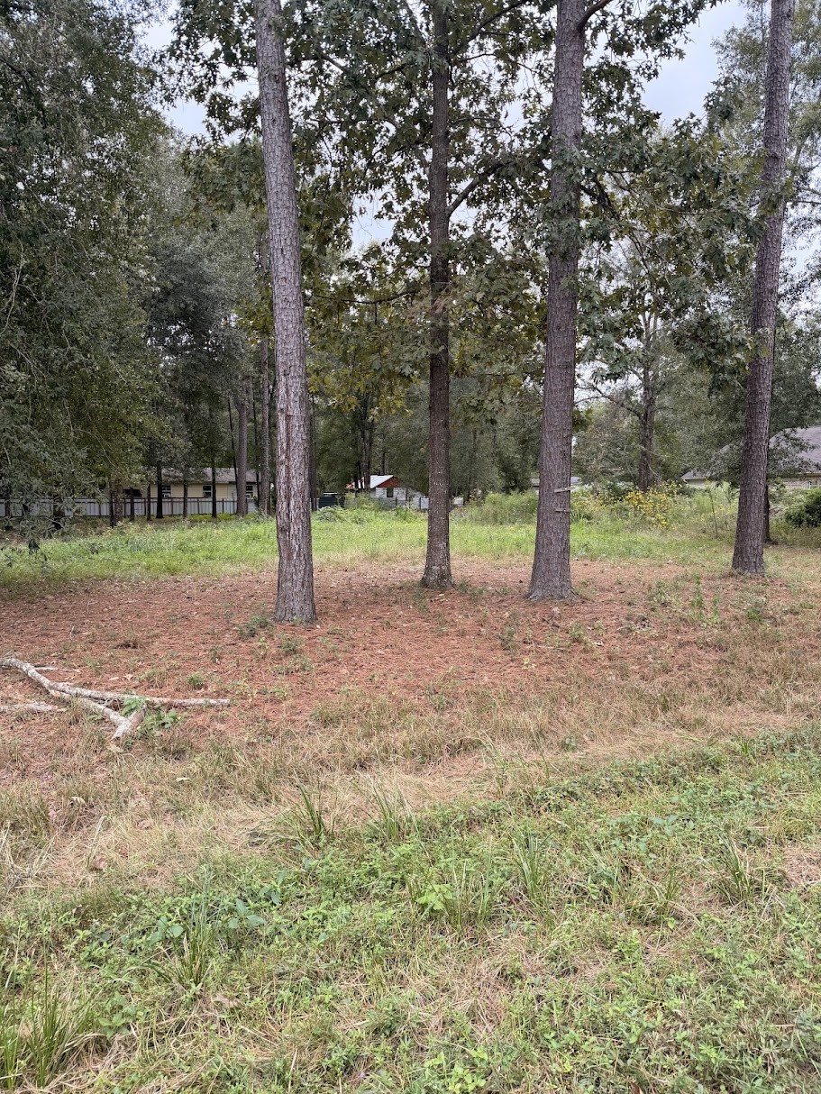 25546 Cambridge Boulevard Property Photo 1