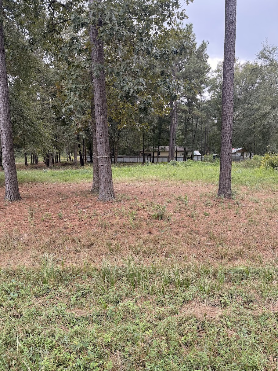 25546 Cambridge Boulevard Property Photo 3