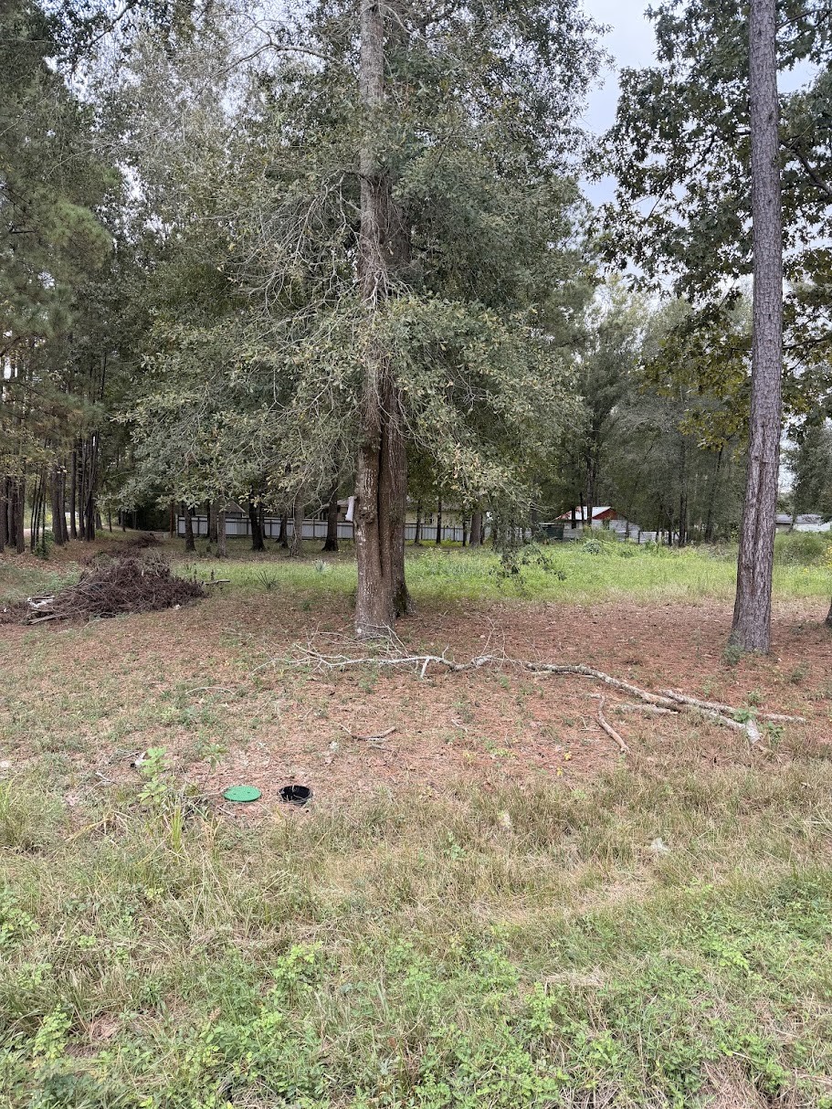 25546 Cambridge Boulevard Property Photo 6