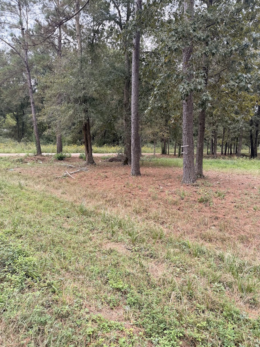 25546 Cambridge Boulevard Property Photo 8