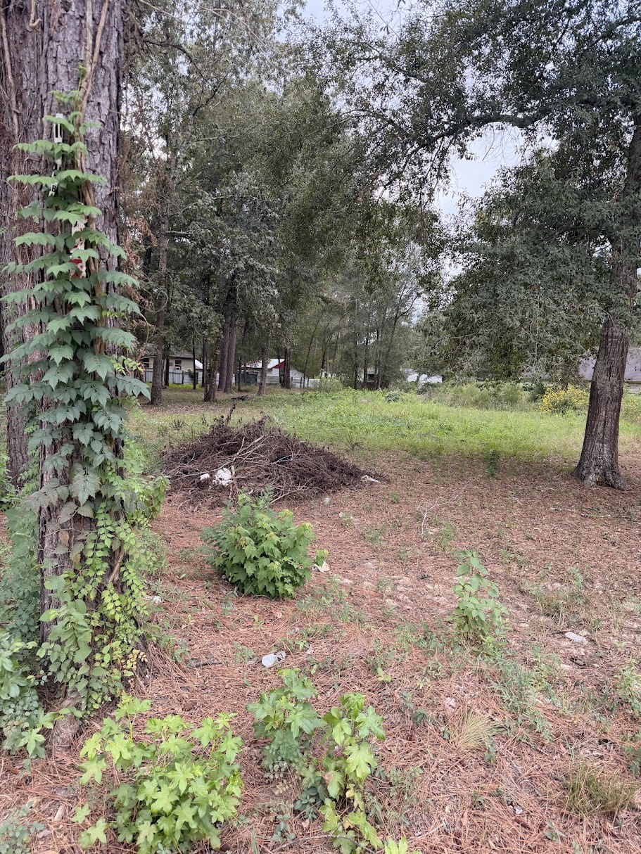 25546 Cambridge Boulevard Property Photo 12