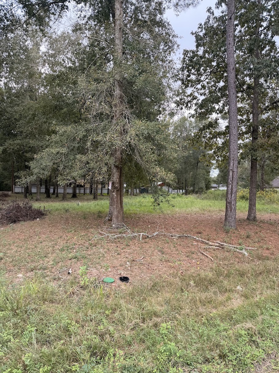 25546 Cambridge Boulevard Property Photo 13