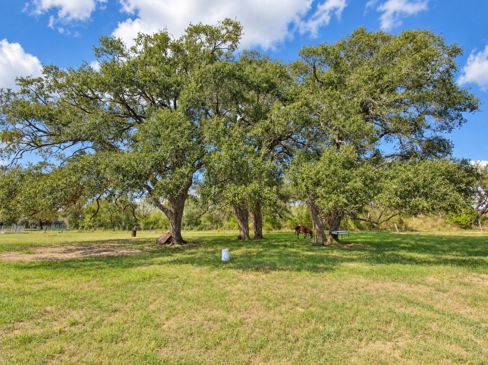 2491 E Fannin Street Property Photo 14
