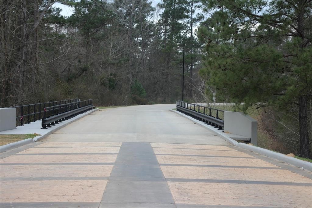 11827 Tara Plantation Drive Property Photo 2