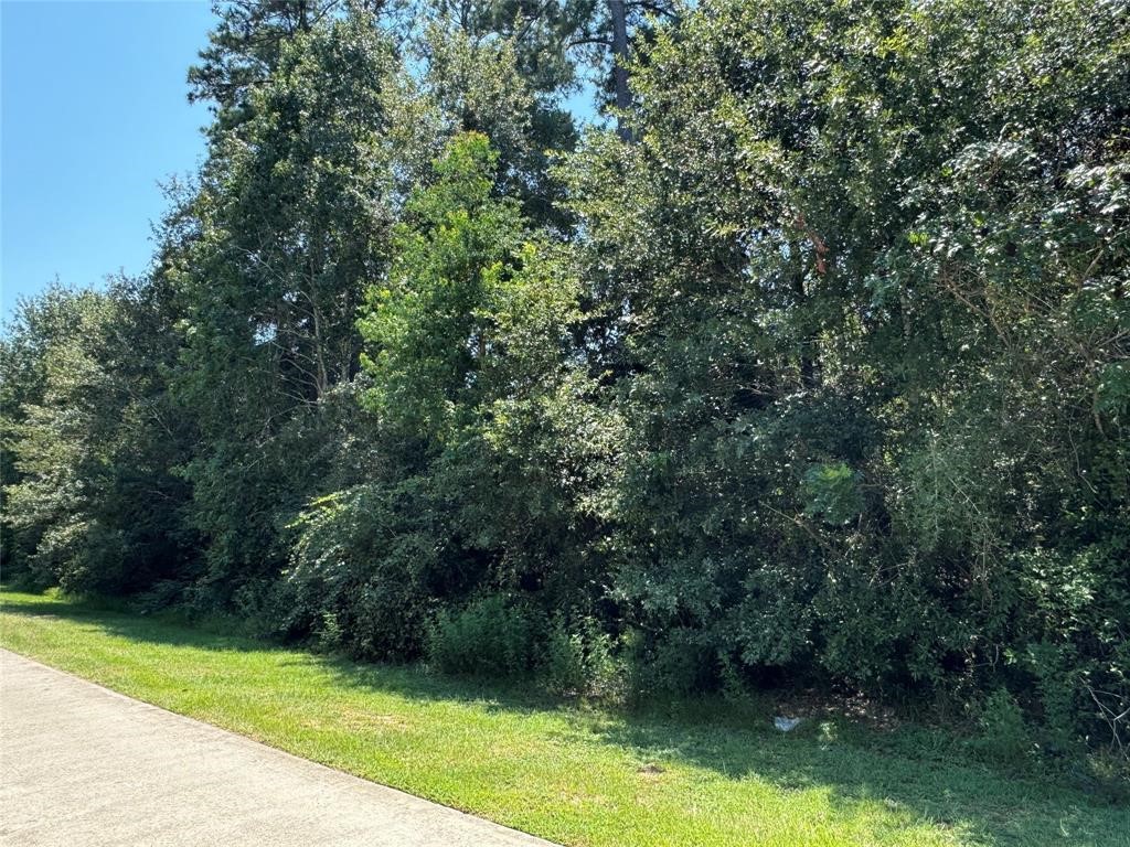 11827 Tara Plantation Drive Property Photo 4