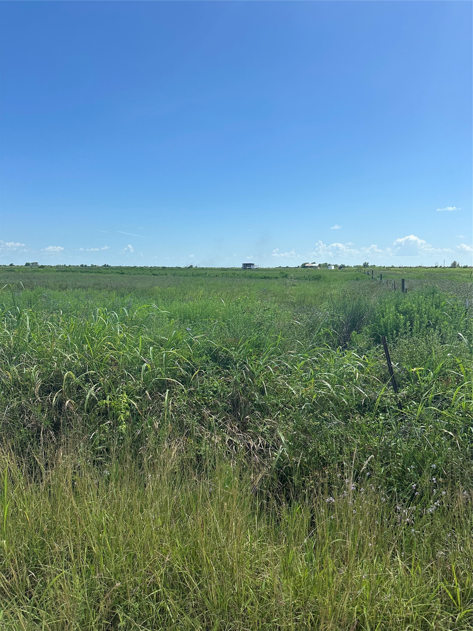 Tbd Beal Road Property Photo 3